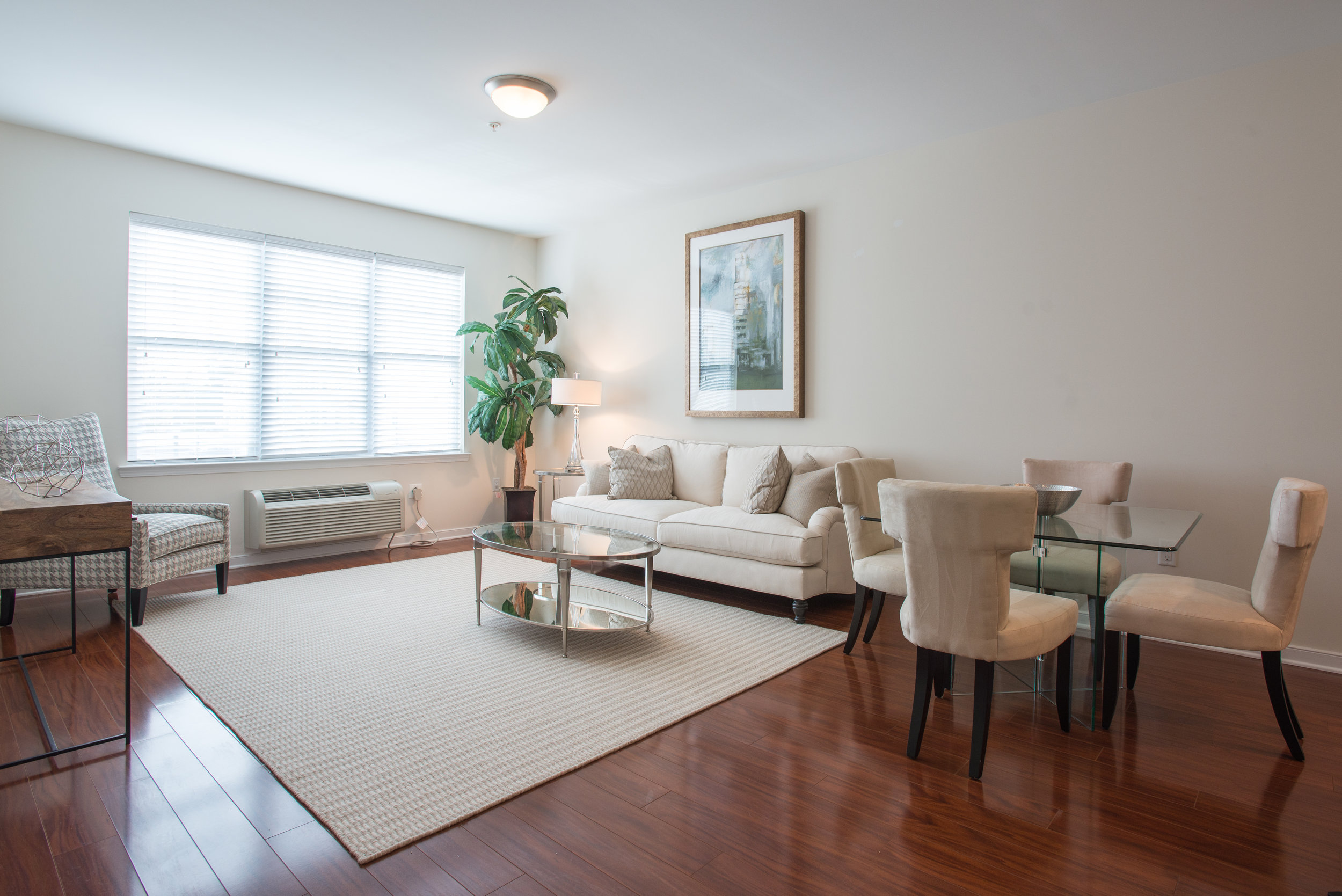 Living Room 1.jpg