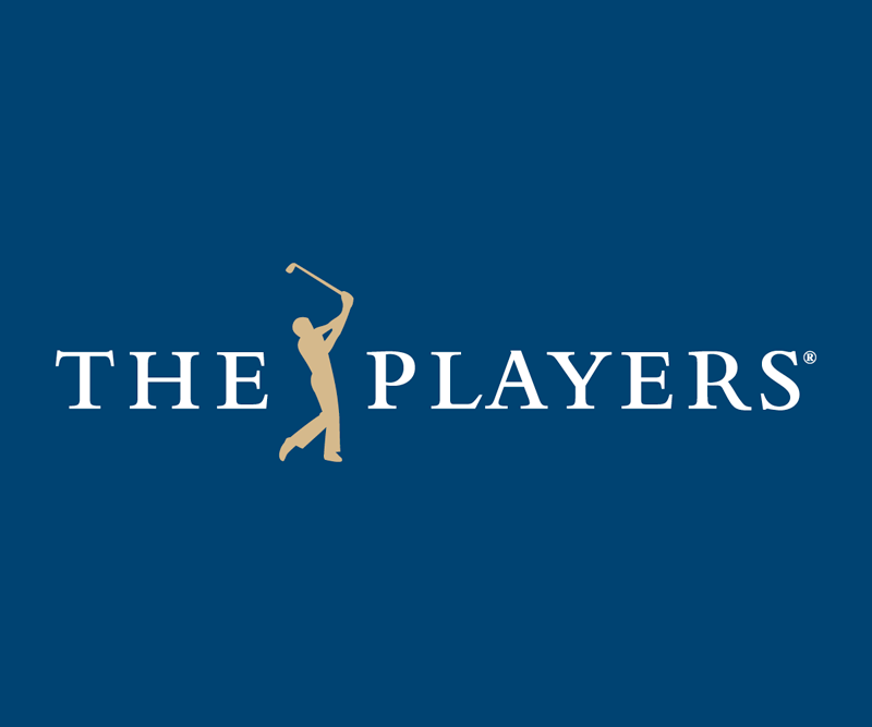 theplayerlogo.png