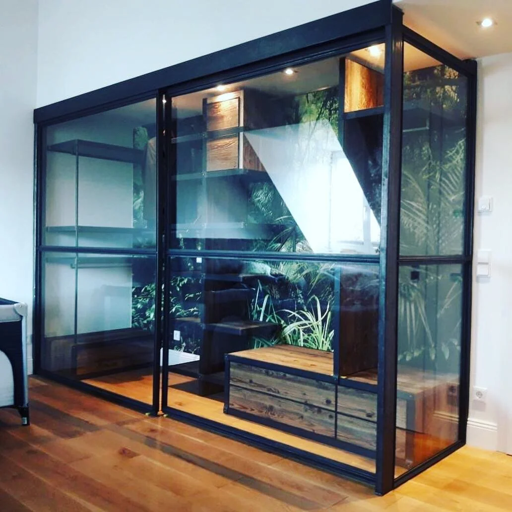 Ein modernes, kleines Indoor-Gewächshaus mit schwarzen Metallrahmen und Glaswänden, das auf einem Holzboden steht. Es enthält Pflanzen und hat eine kreative Nutzung des Raumes, sichtbar durch die Pflanzen im Hintergrund.