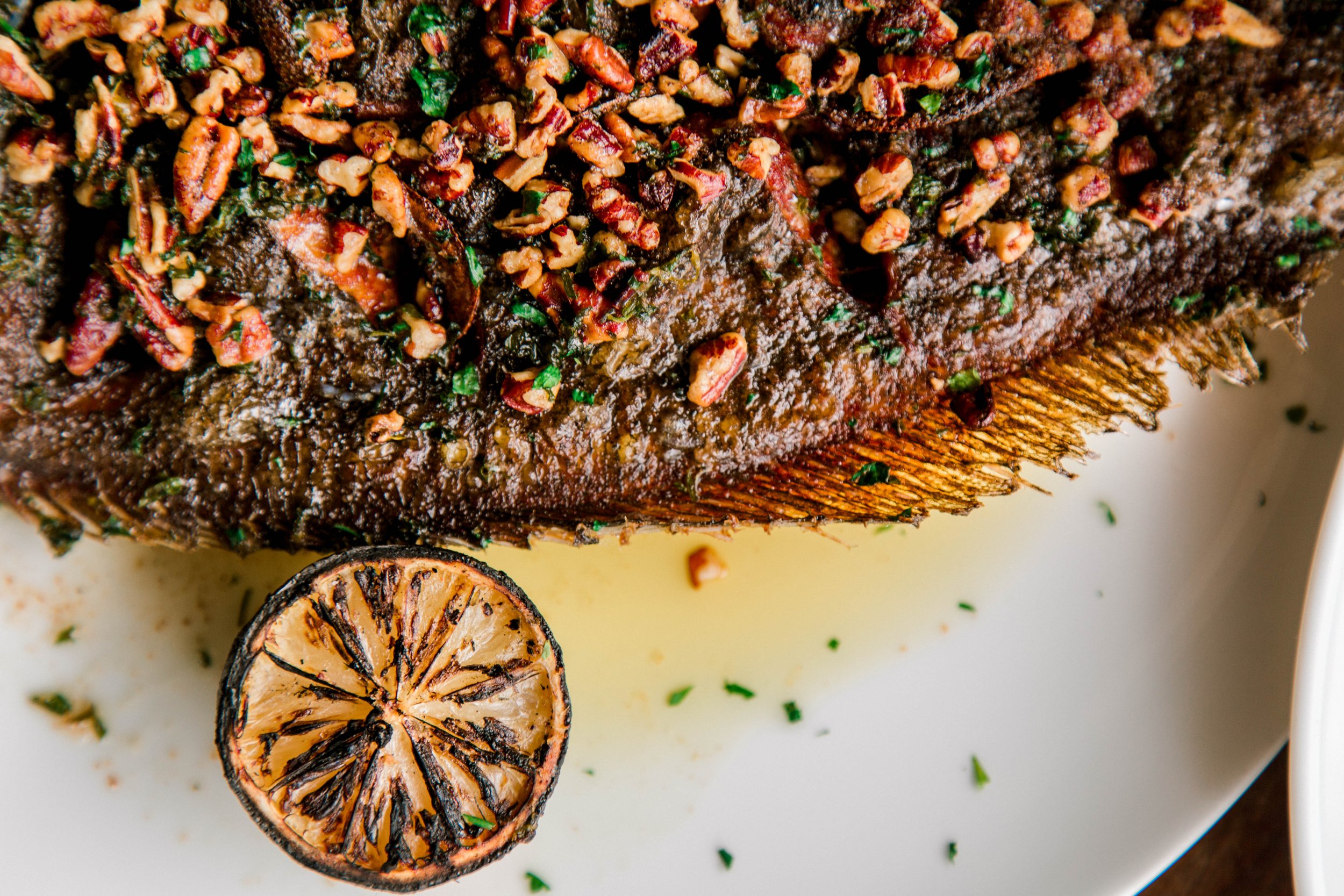 Fall Hummingbird Shoot-50.jpg