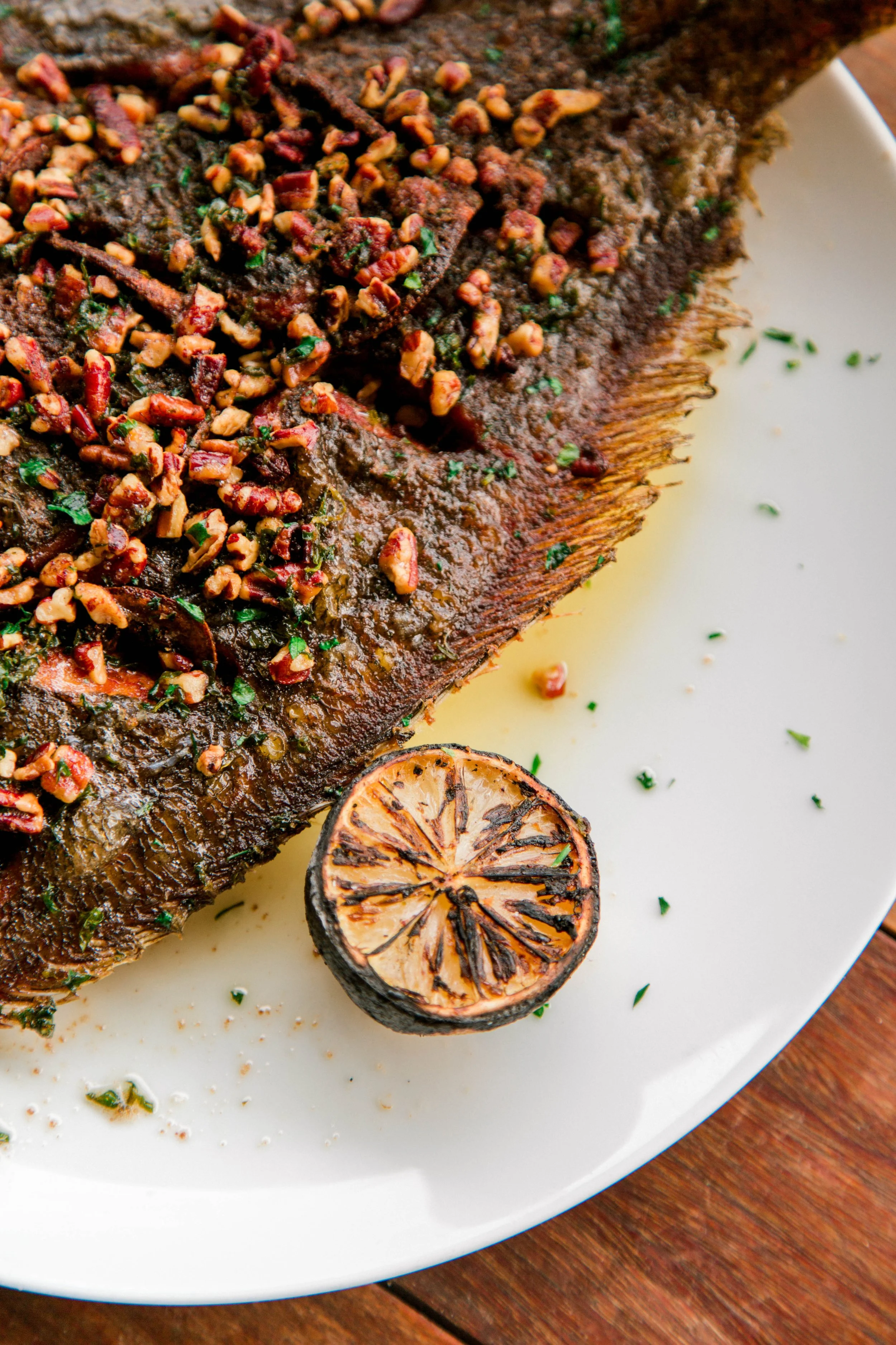 Fall Hummingbird Shoot-123.jpg