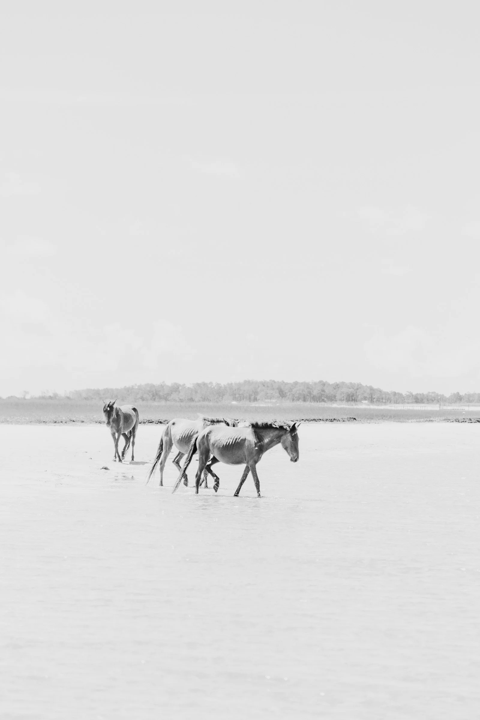 CA7A9B66-FA9E-484C-8C5C-86FE530A124C 2.JPG