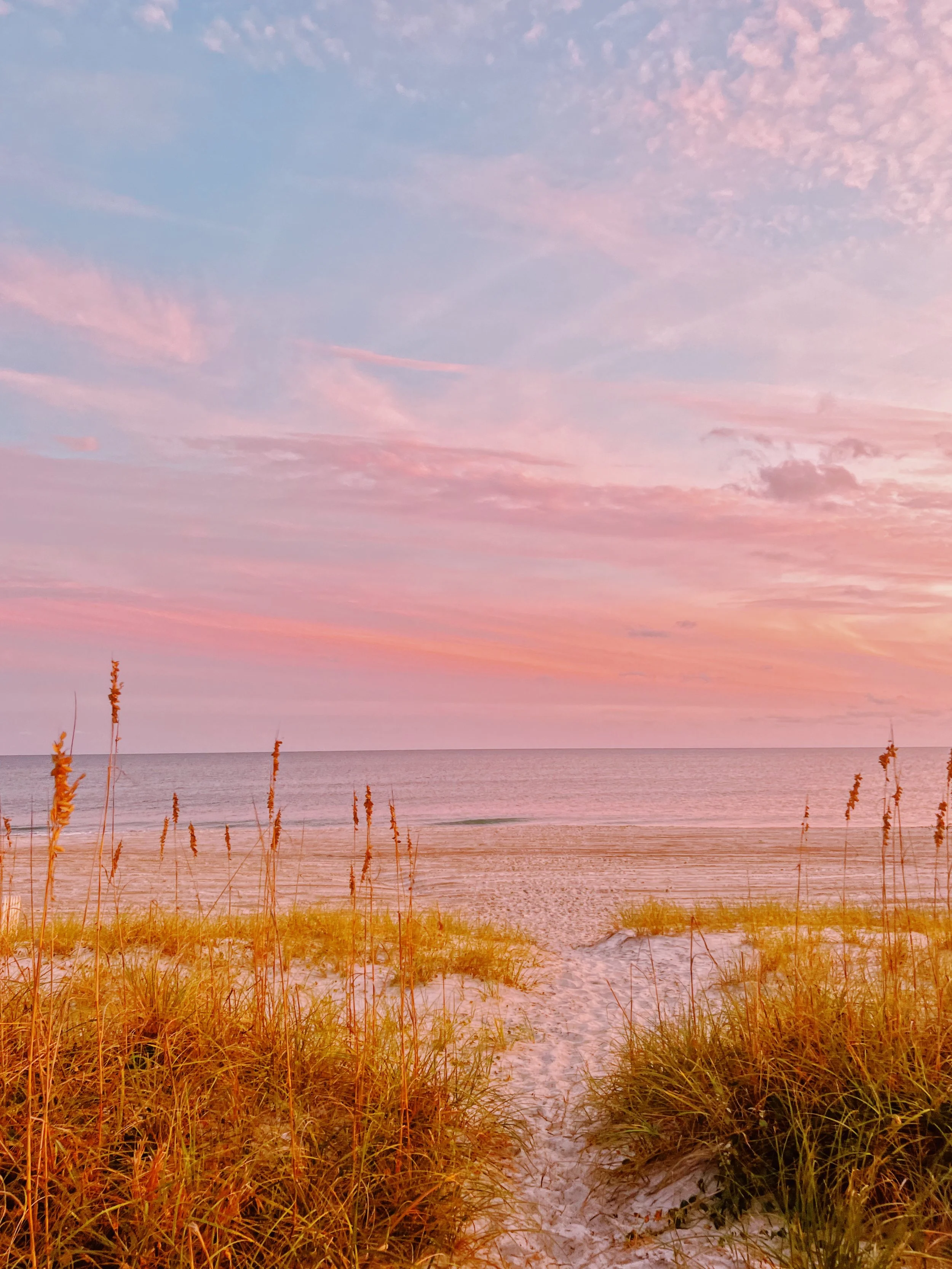 66322415-725E-447F-8B7D-5157FF0D94F7 2.JPG