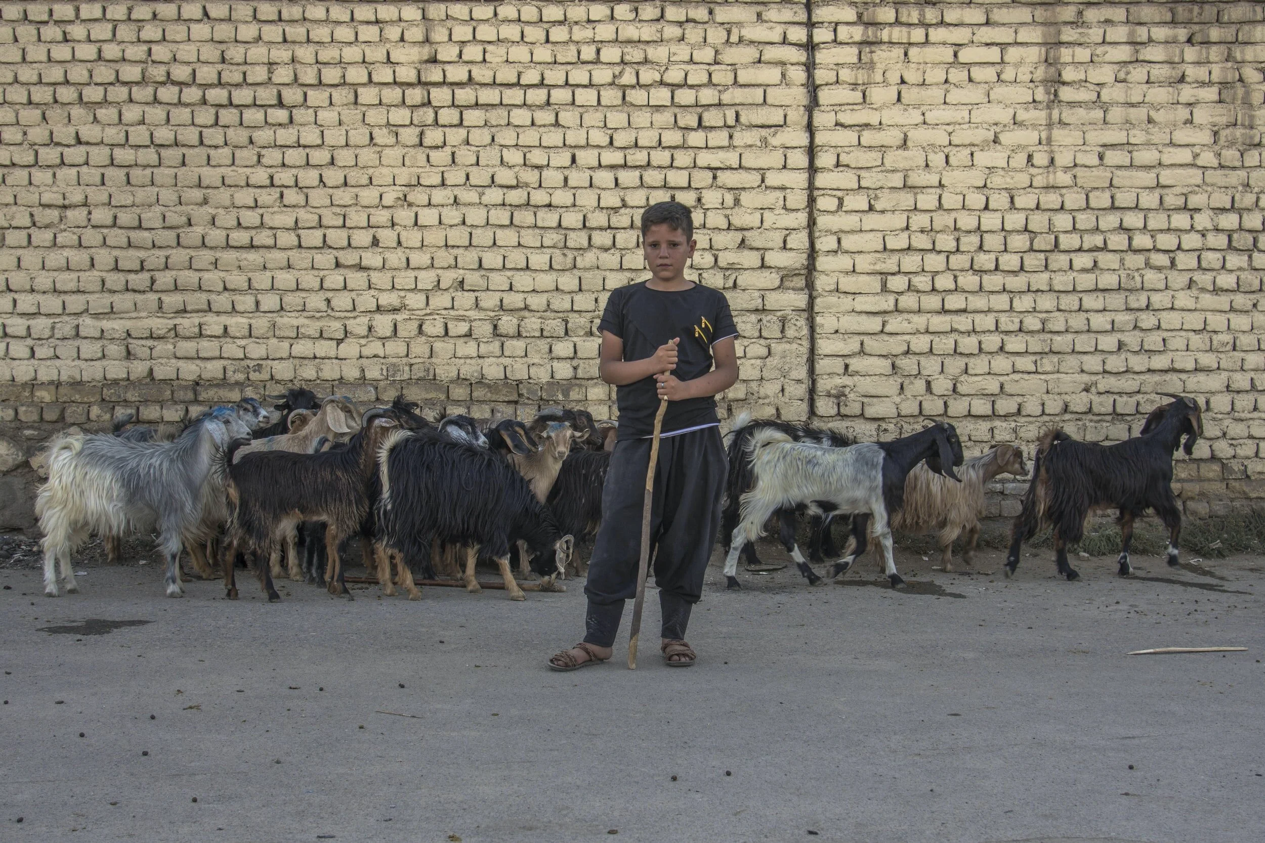 What if the Shepherds Didn't Tell?