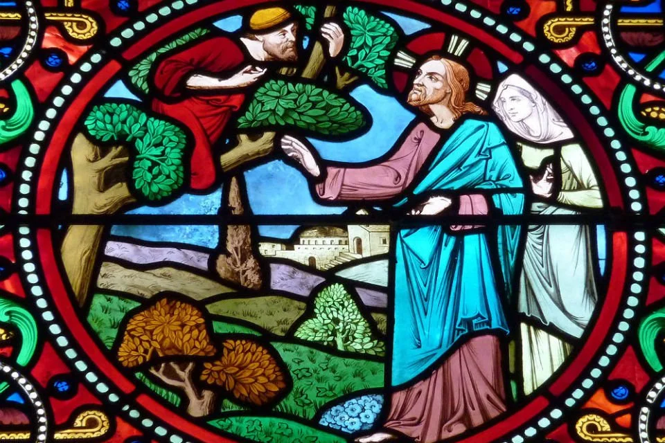 Looking for Sinners in the Sycamores