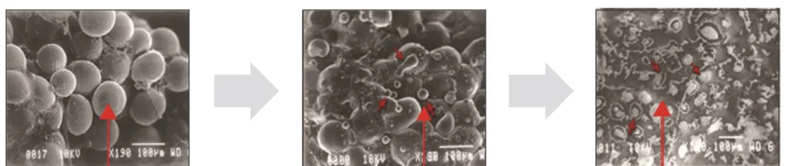 ns_LLD_cell.jpg