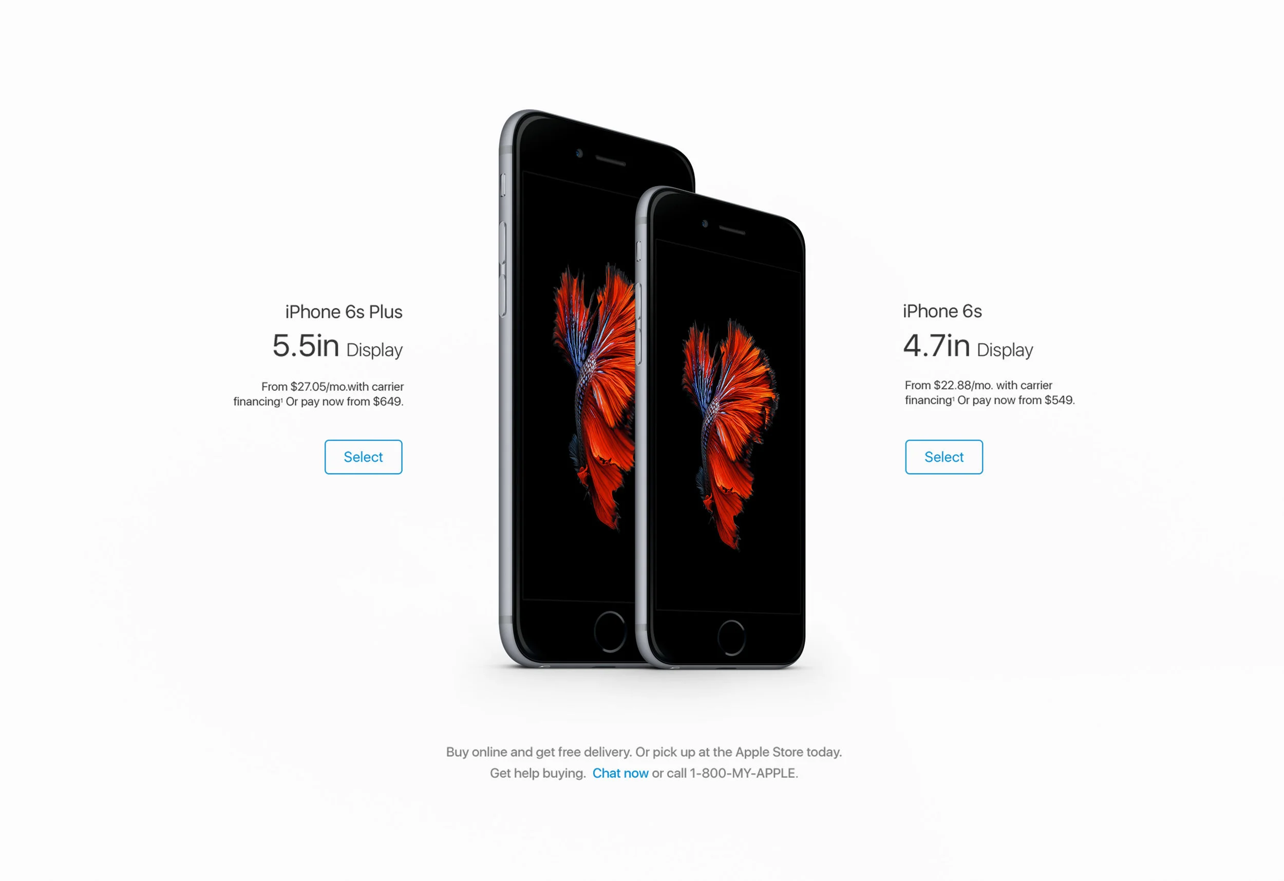 04_apple.jpg