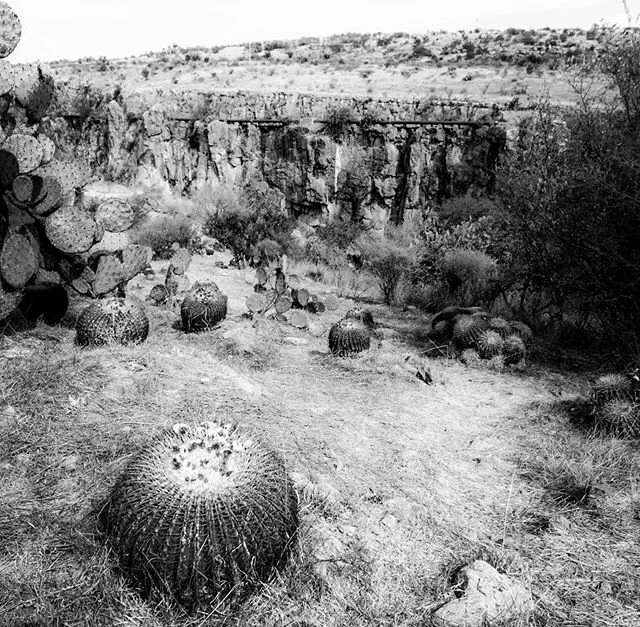 Something wants to know me. Something I can&rsquo;t see, sees (seizes) me.  #blackandwhitephotography #justenahren #bnw #photooftheday