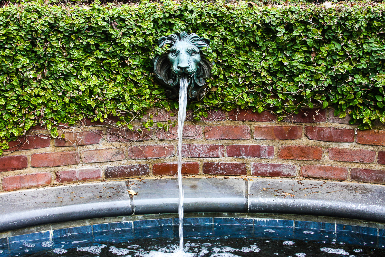 Lion's face fountain