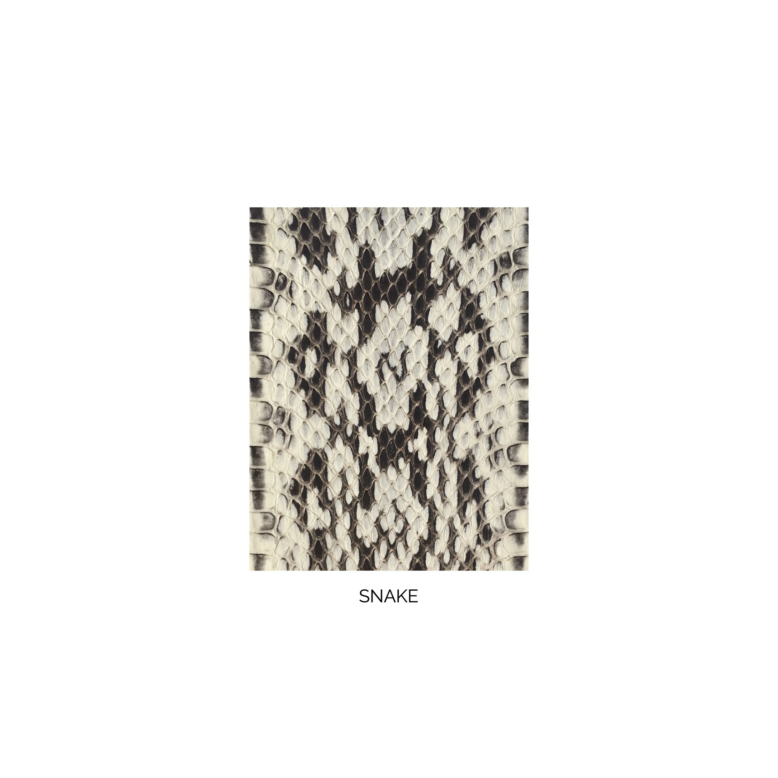 snake swatch card .jpg