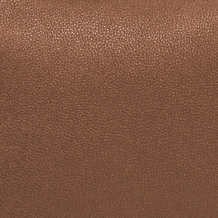 Adrian calf Brown shoulder Leonardo edit copy.jpeg