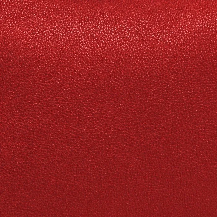 Adrian calf Red shoulder Leonardo edit copy.jpeg