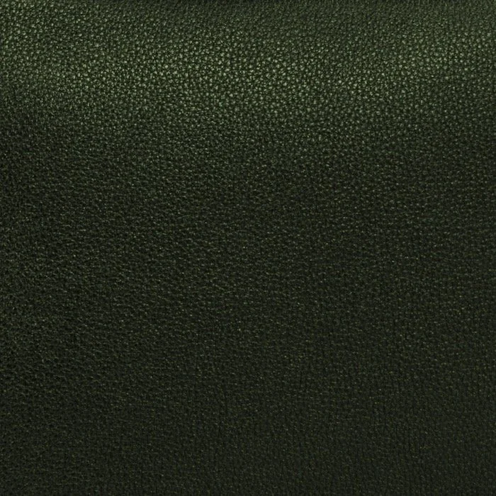 Adrian calf Green shoulder Leonardo edit copy.jpeg