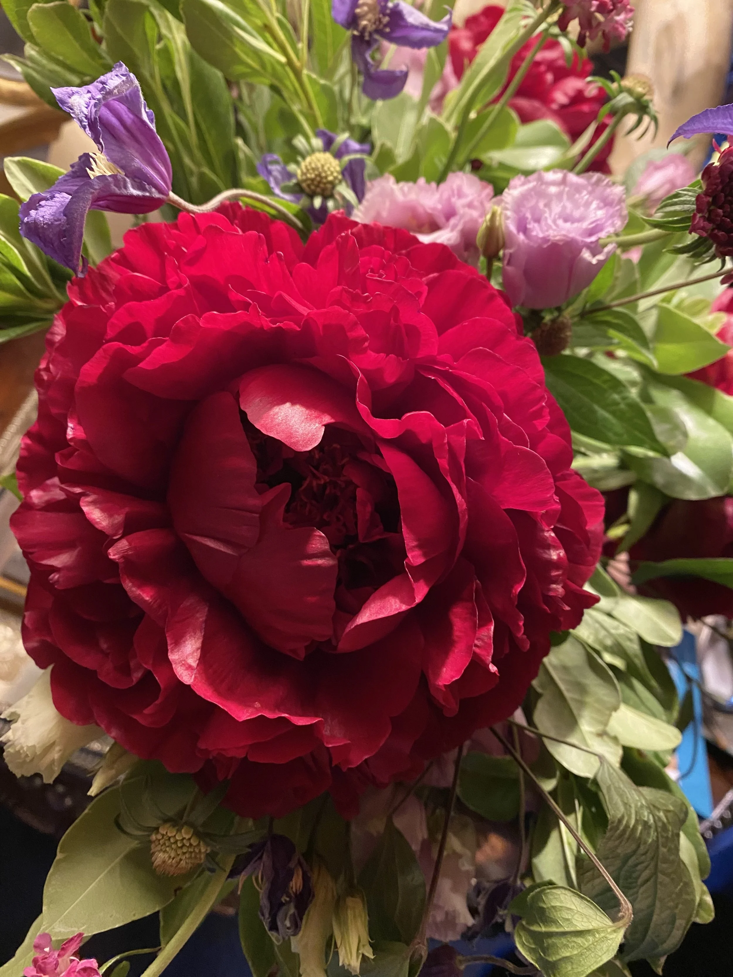 IMG_0472.jpeg