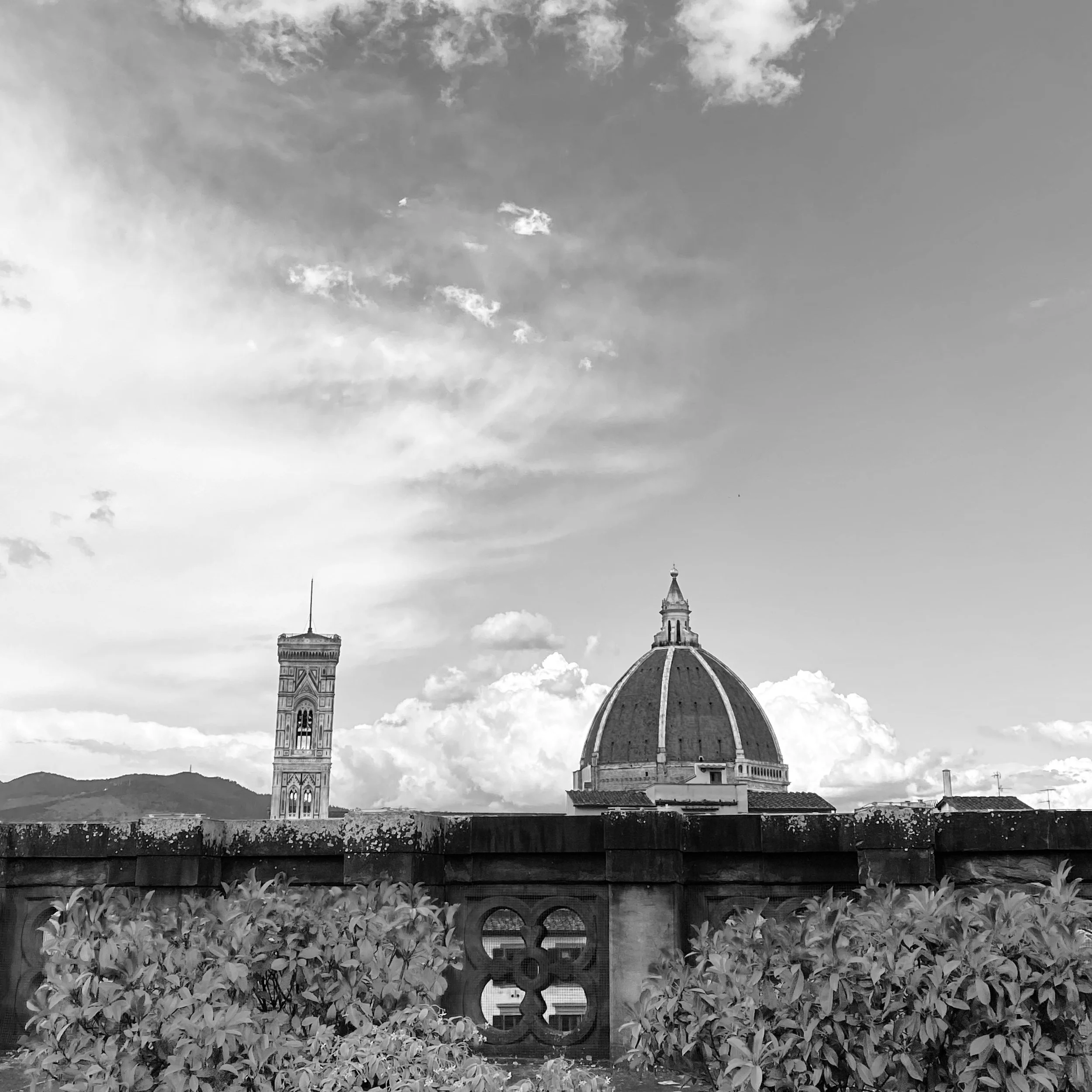 IMG_0579.JPEG
