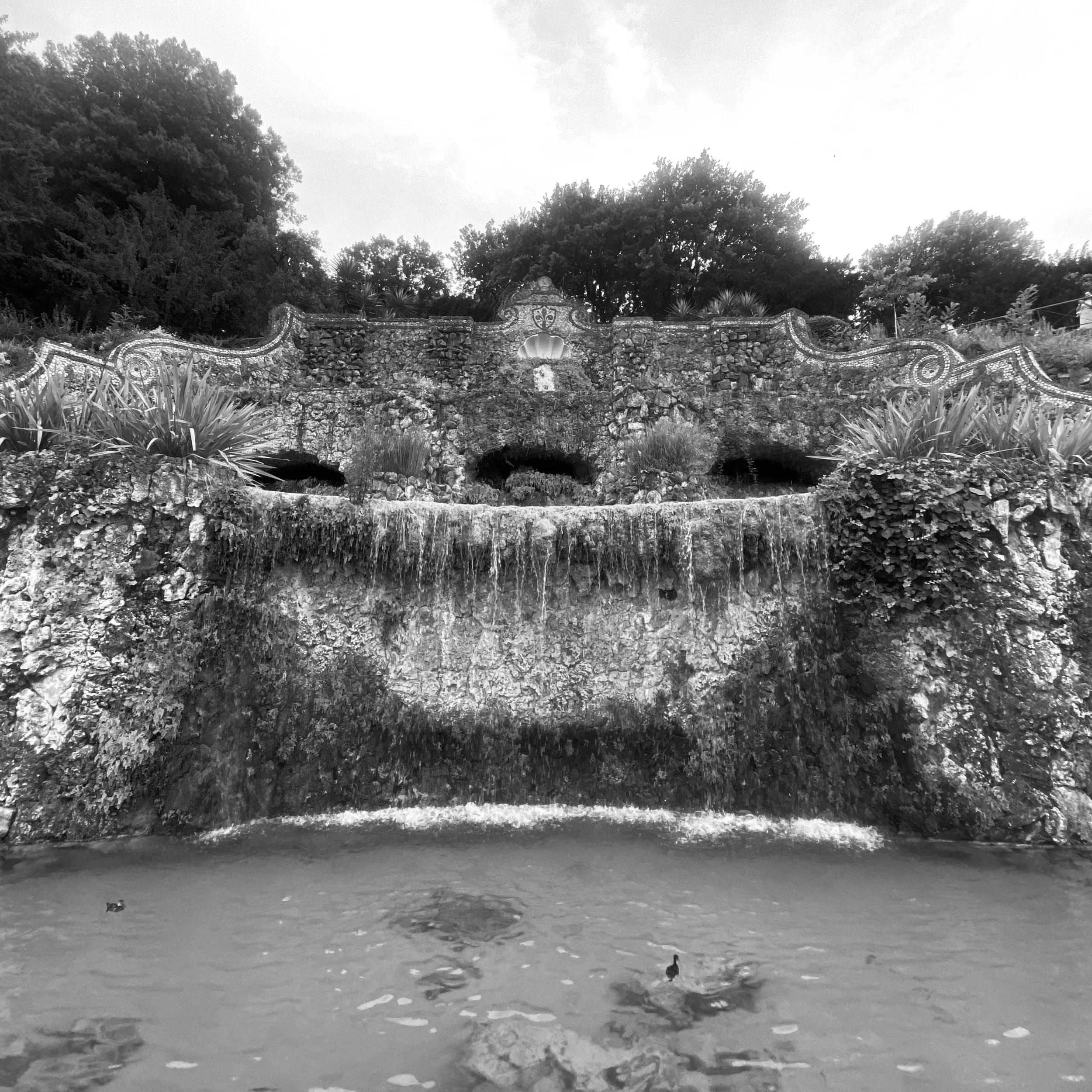 IMG_1167.jpeg