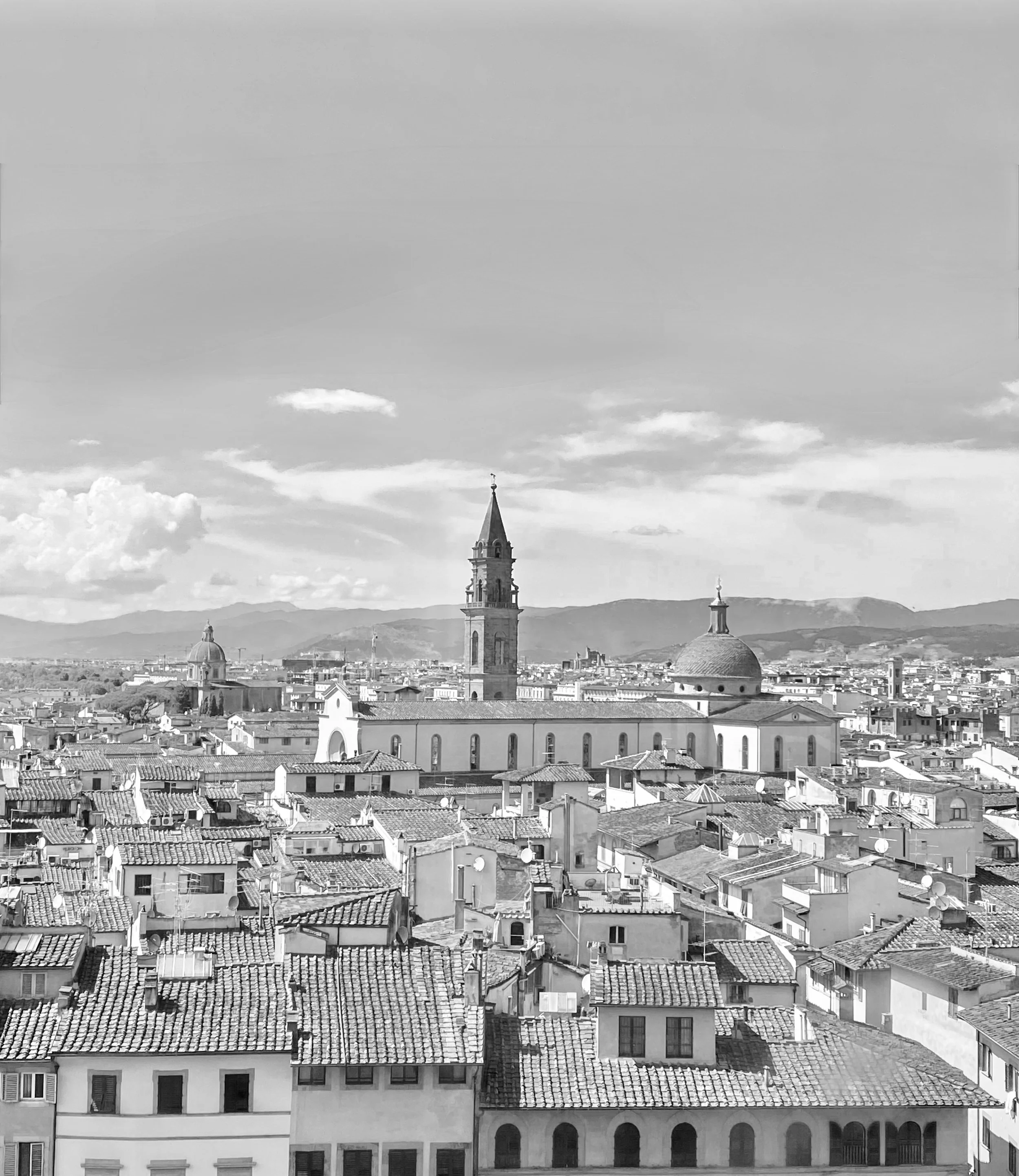 IMG_2387.jpeg