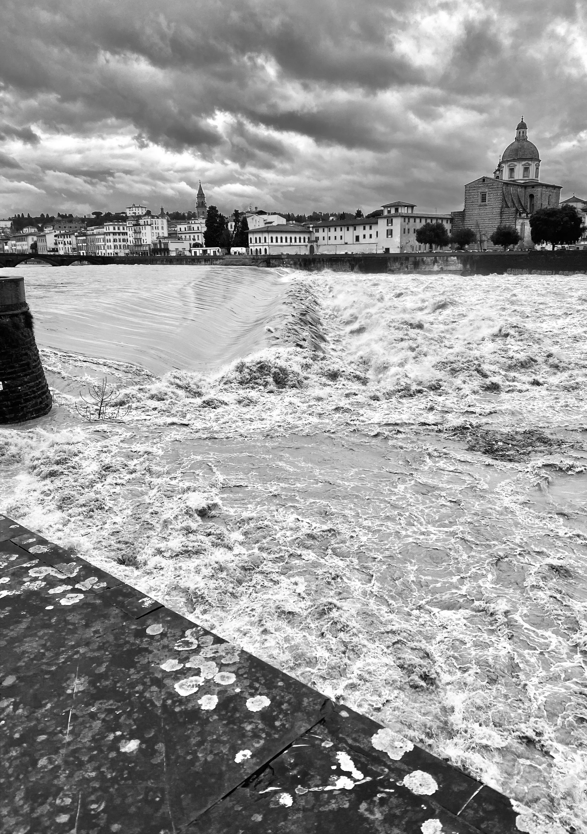 IMG_5411.jpeg
