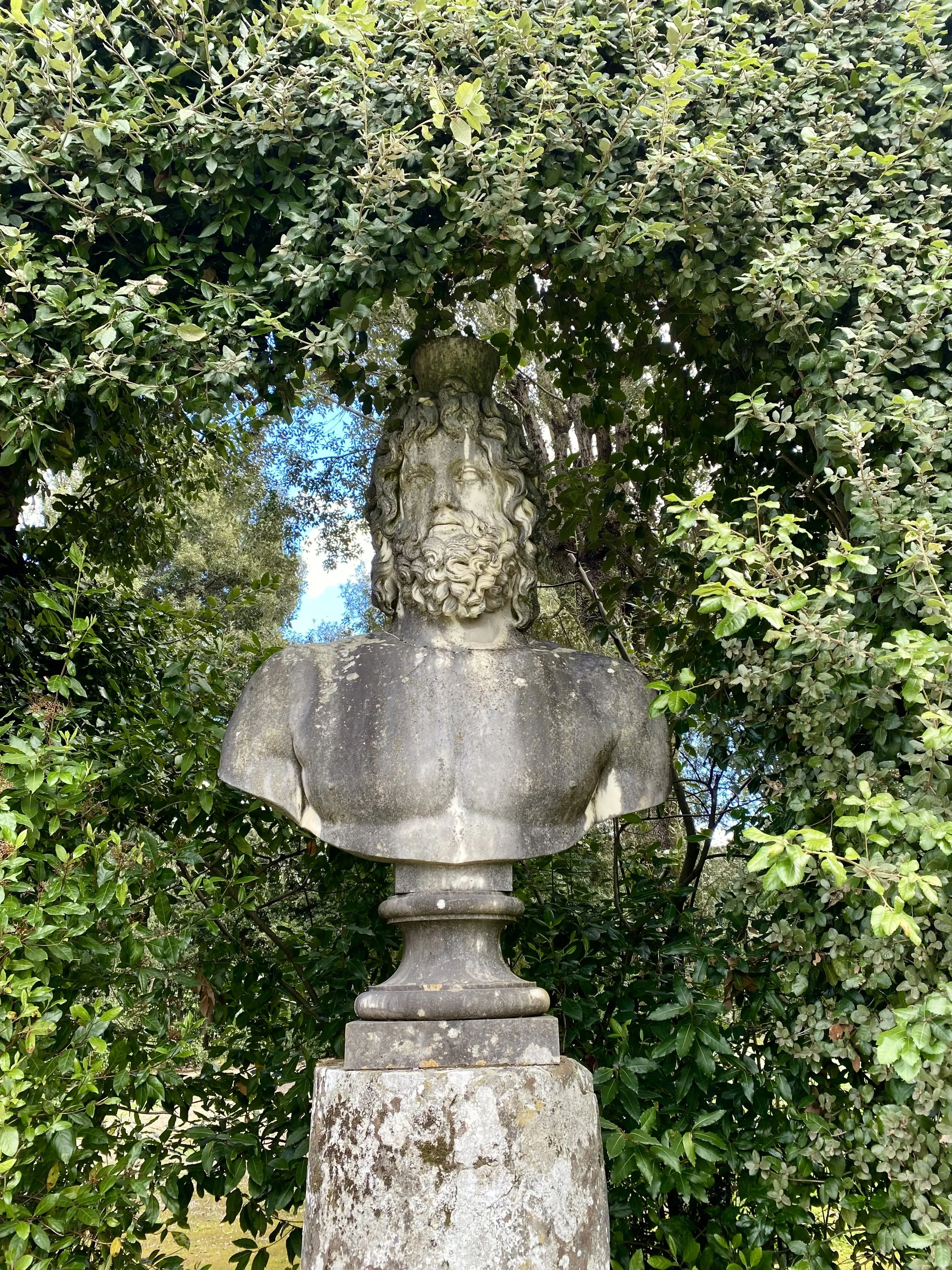IMG_5549.jpeg