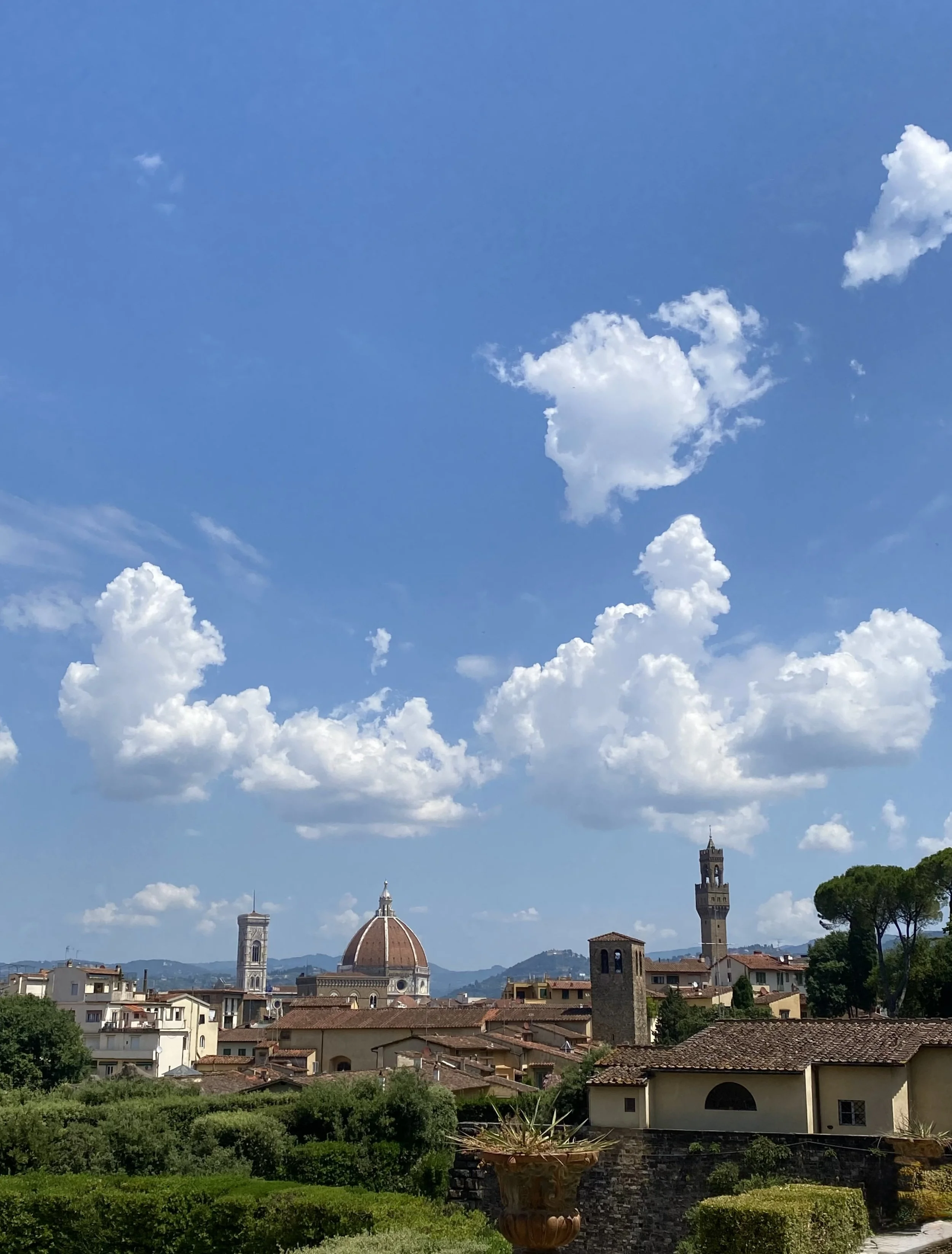IMG_6491.jpeg