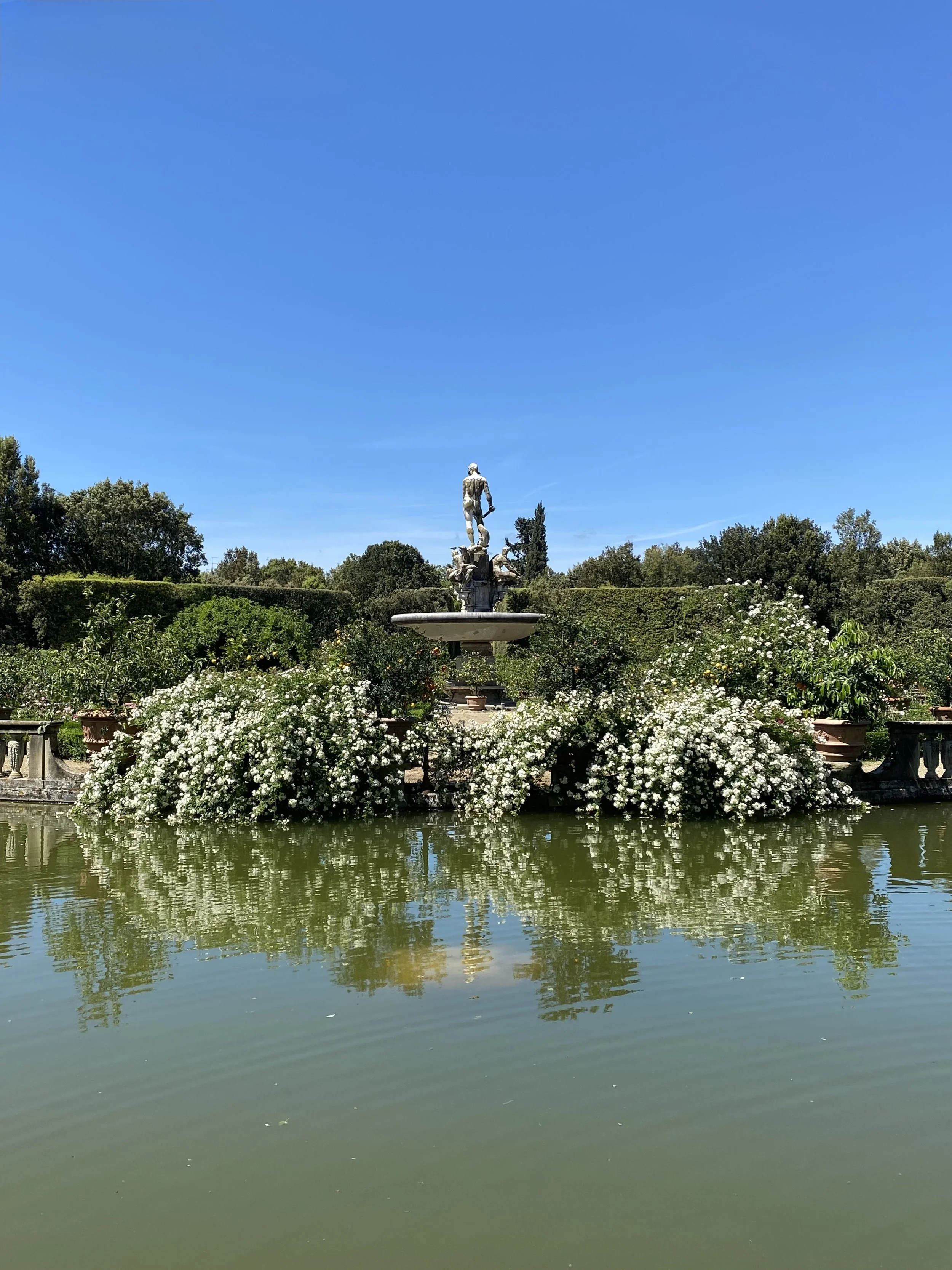 IMG_9467.jpeg