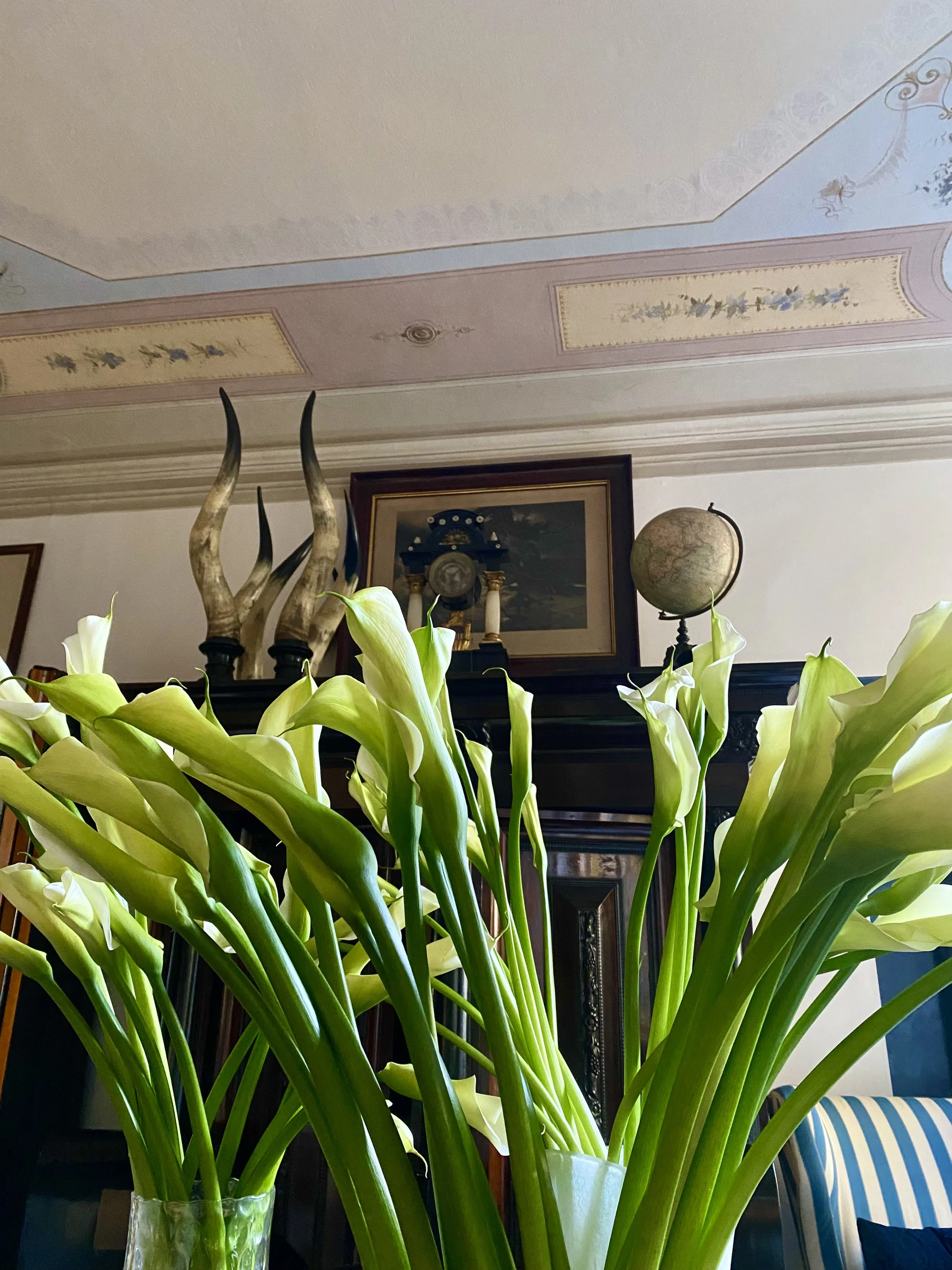 IMG_1084.jpeg