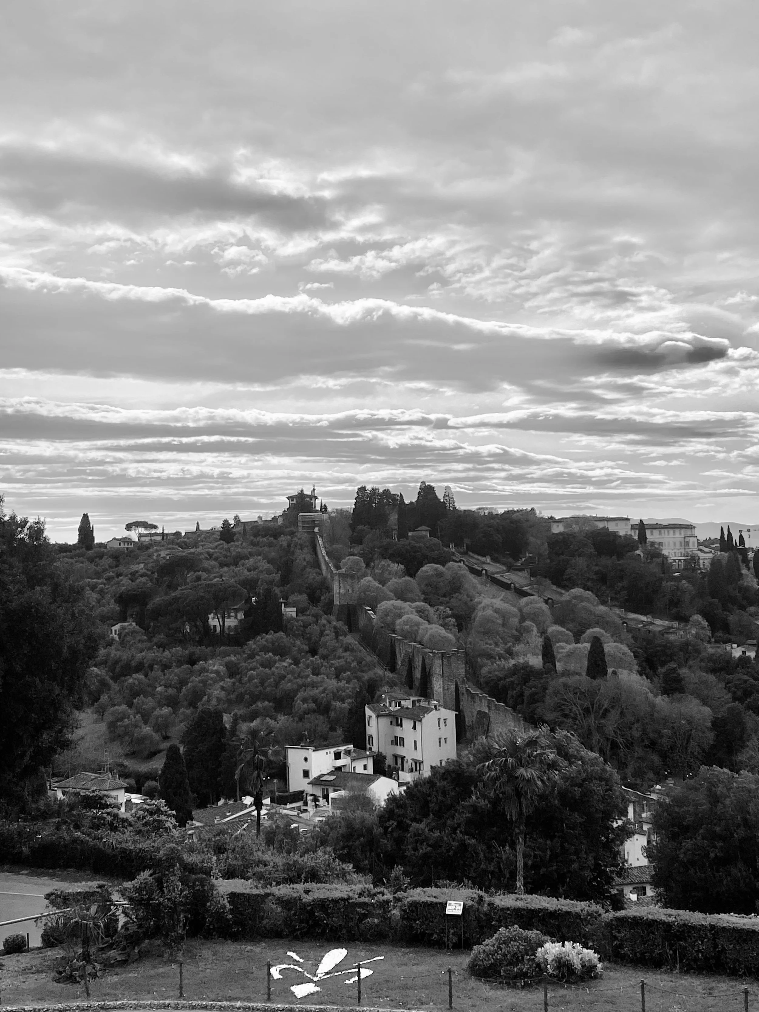 IMG_1450.jpeg