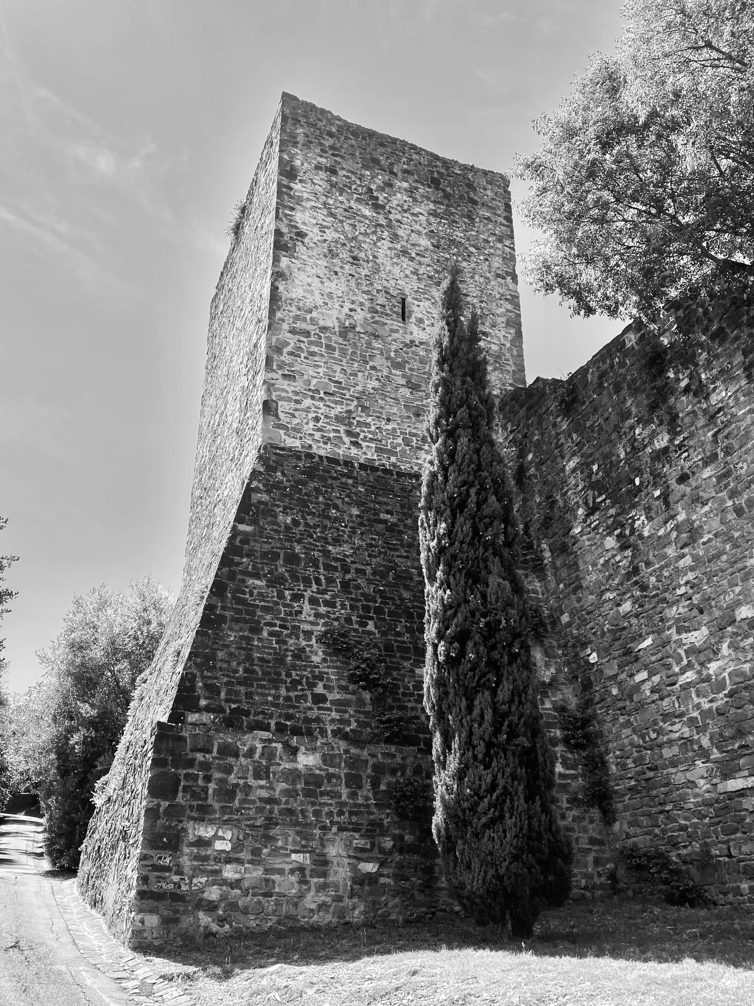 IMG_2939.jpeg