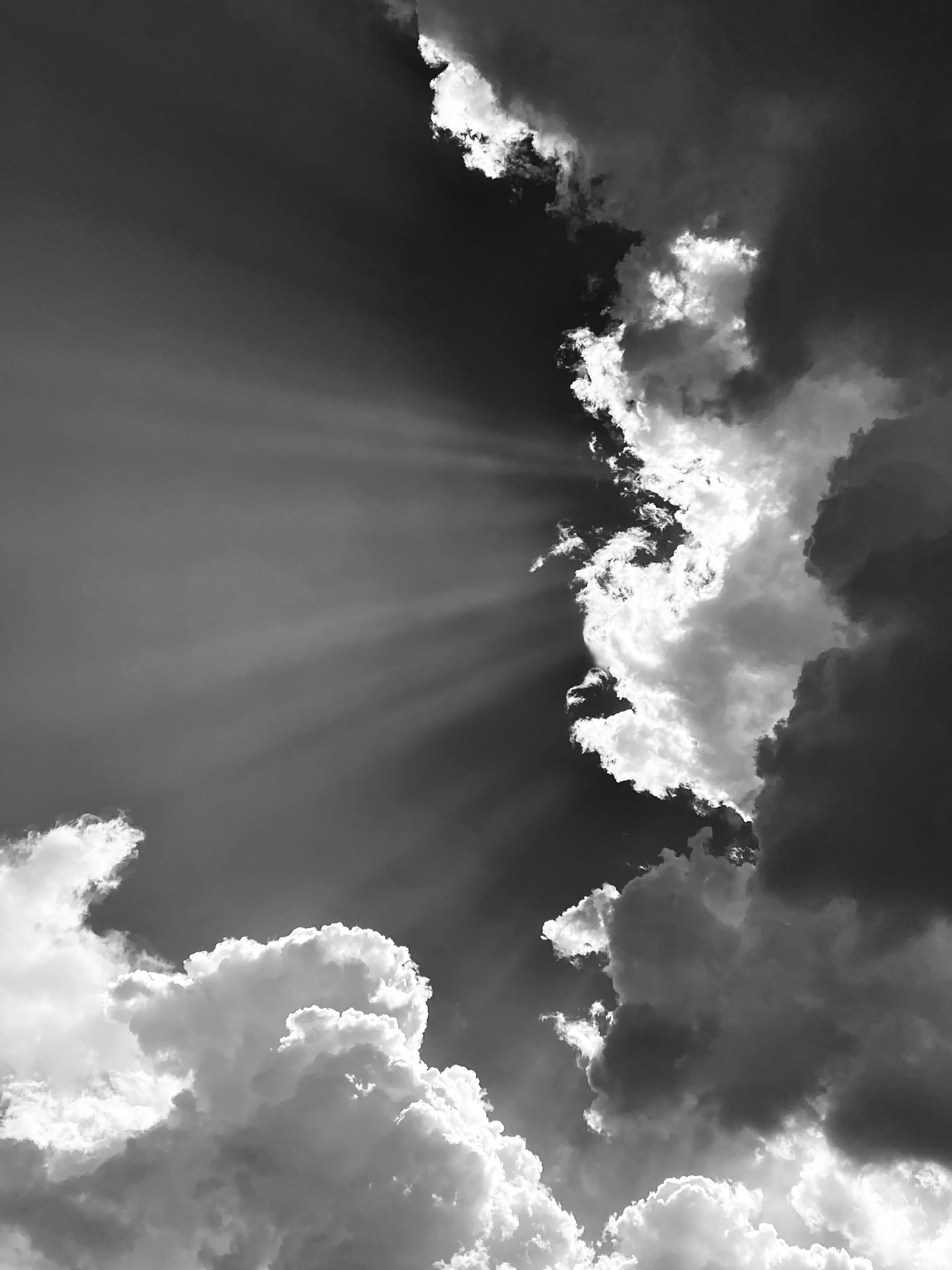IMG_3406 2.jpeg