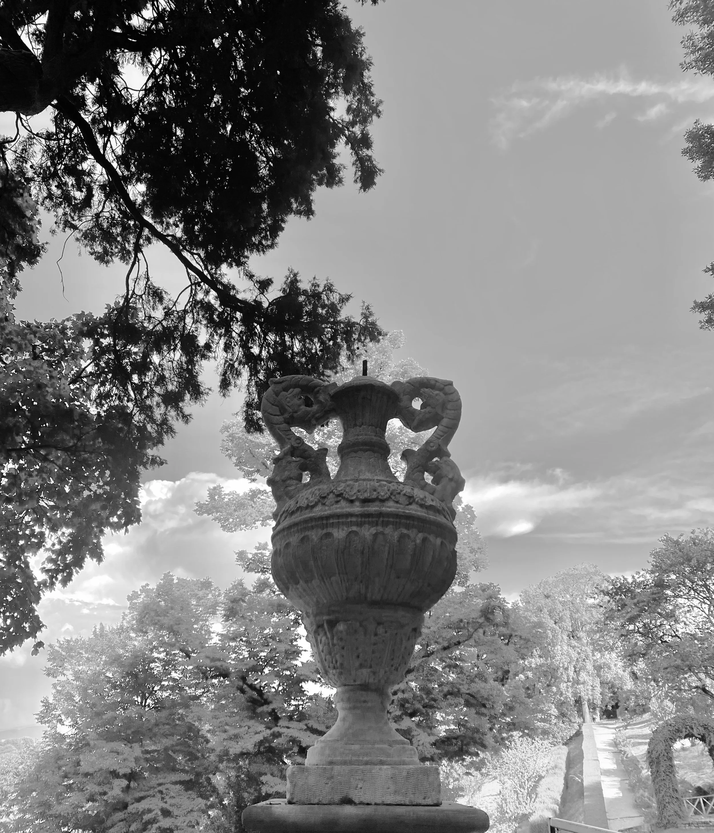IMG_4151.jpeg