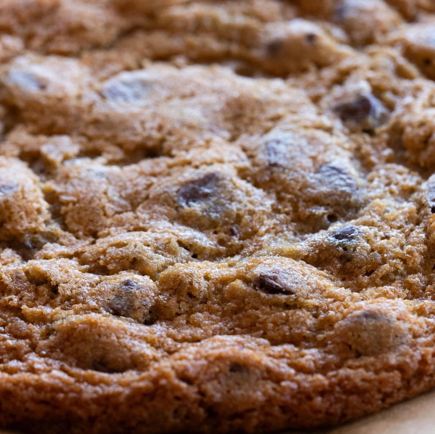 Some people come for sandwiches&hellip;real ones stay for the cookies! 🍪 😉 Our house-baked chocolate chip cookies drop daily at 11am. What&rsquo;s not to love?! Cookie connoisseurs come hungry and let us know what you think in the comments down bel