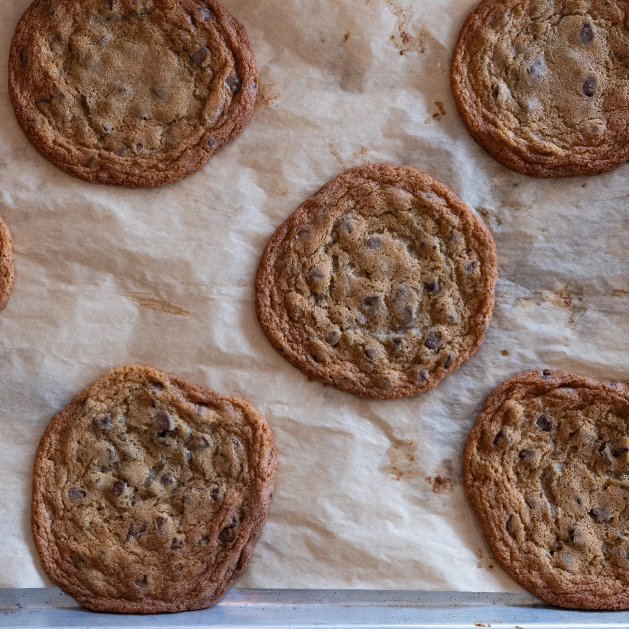 Our chocolate chip cookies 🍪 are made in house daily, swing by at 11am for your favorite sandwich + some giant cookie action. See you soon! Happy weekend! 😁 ✨ 
&bull;
&bull;
&bull;
best cookies in PDX &bull; dessert in portland &bull; chocolate chi