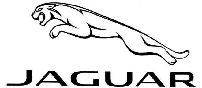 jaguar.jpeg