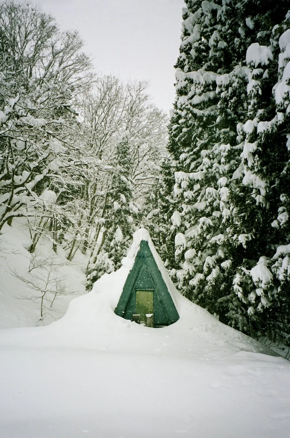 japan analogue film photography tokyo snow matt power photo kodak gold portra 4005.jpg