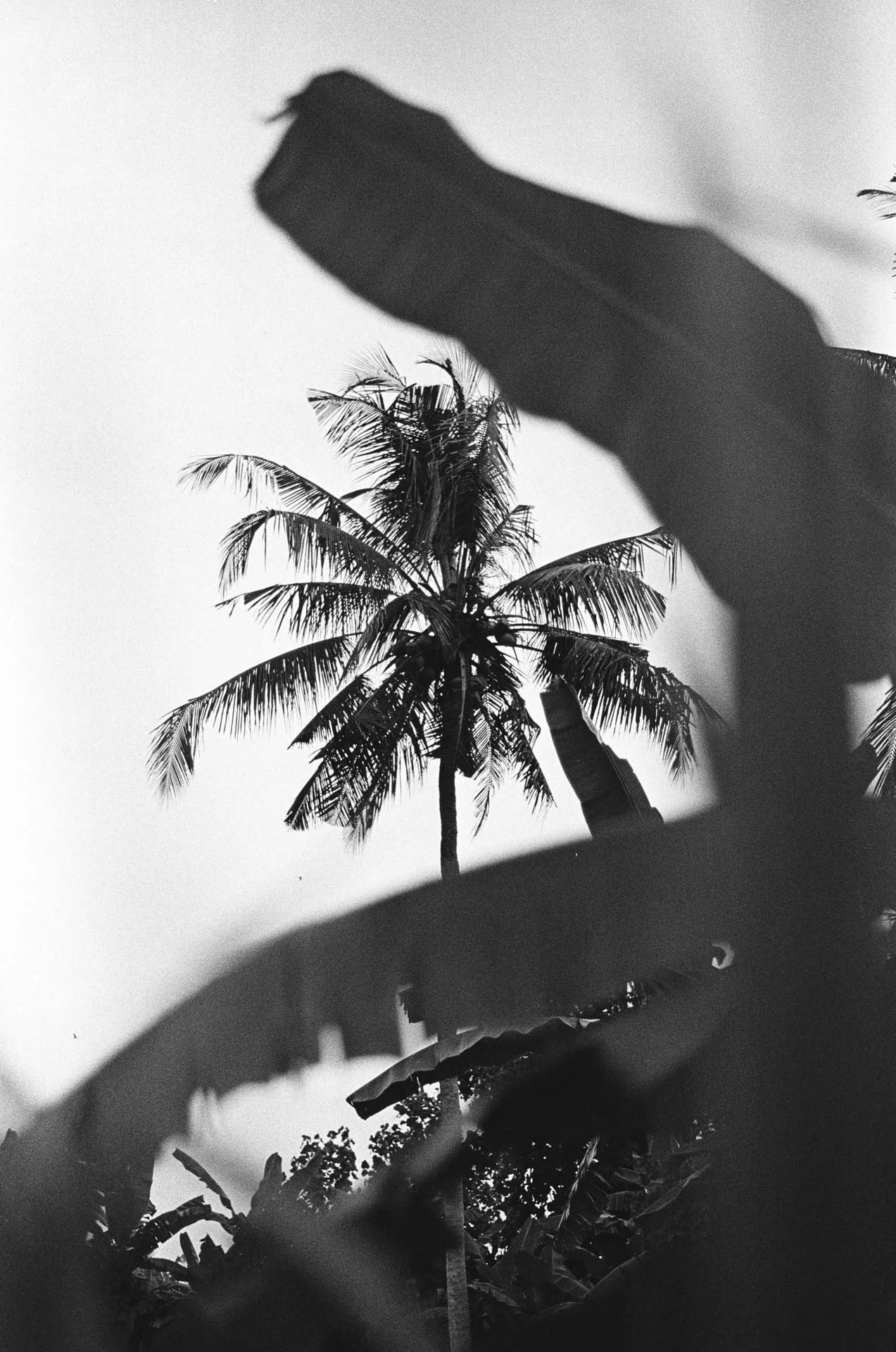 matt power photo,35mm film-3.jpg
