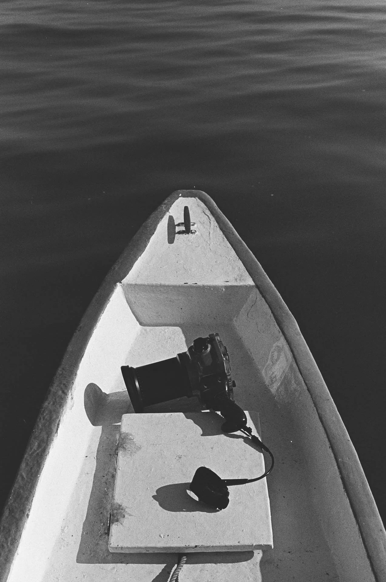 matt power photo,35mm film-00000000025.jpg