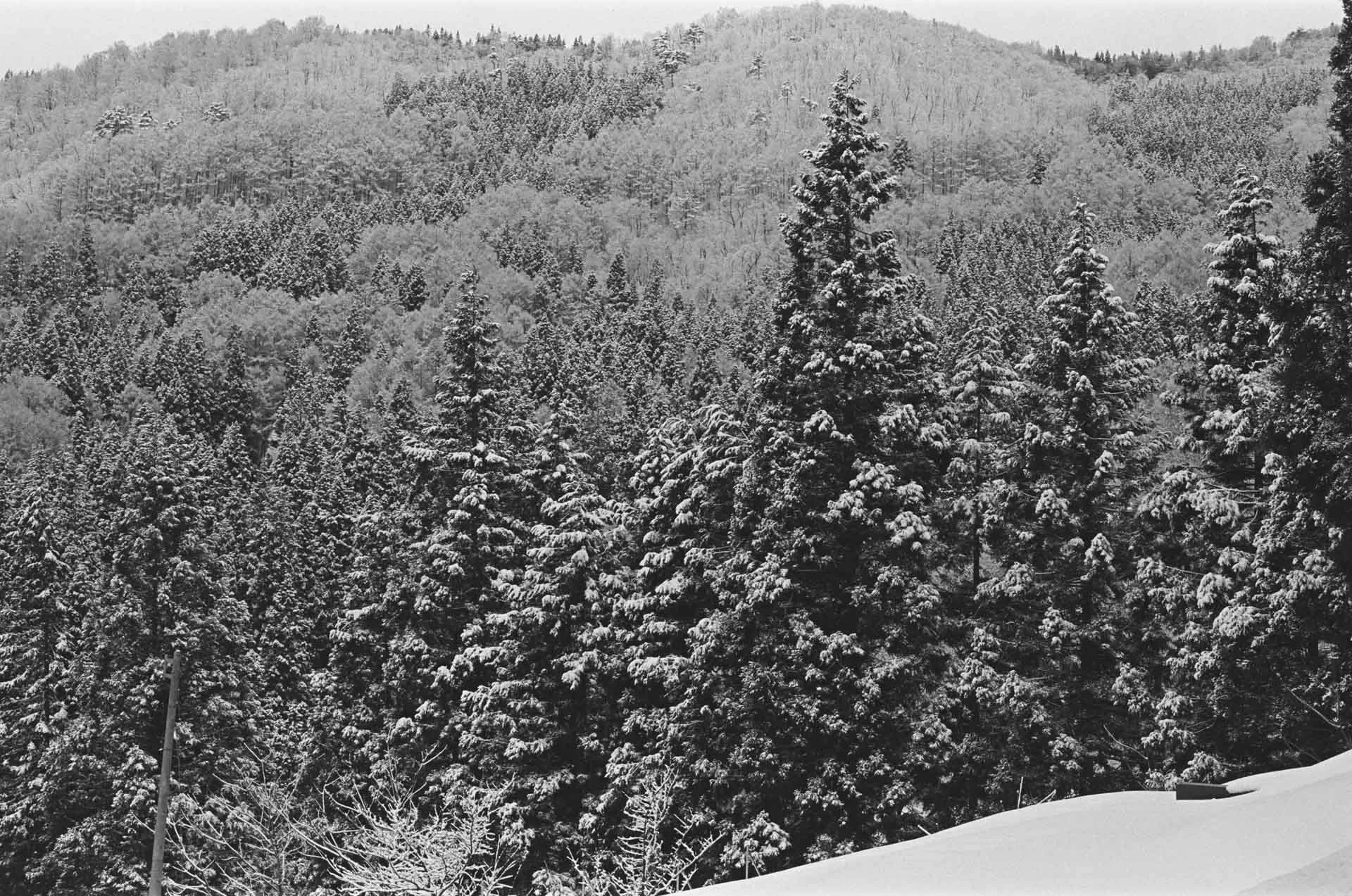 matt power photo,35mm film-30.jpg