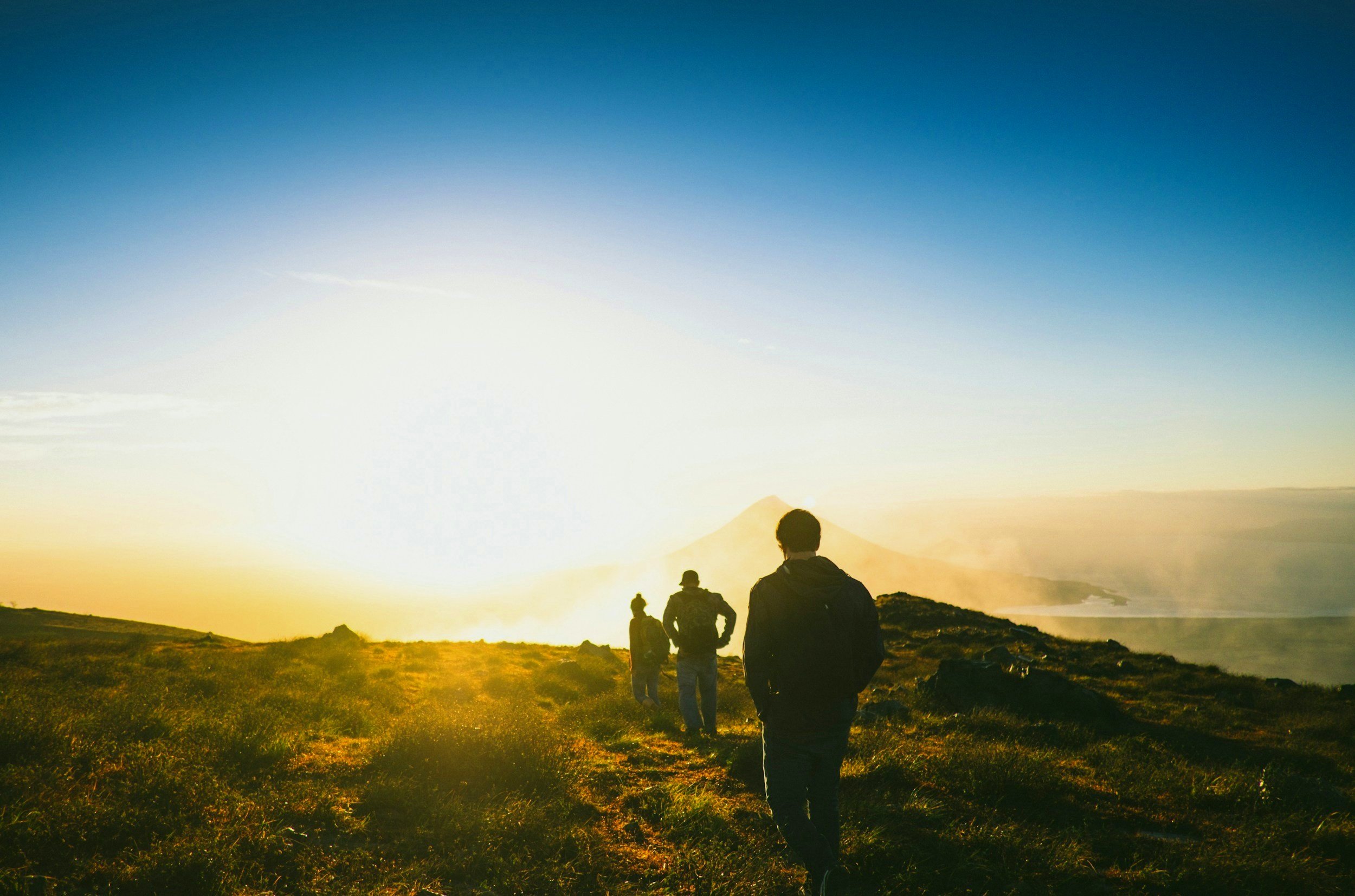 unsplash-image-lSegRSDBMLw.jpg