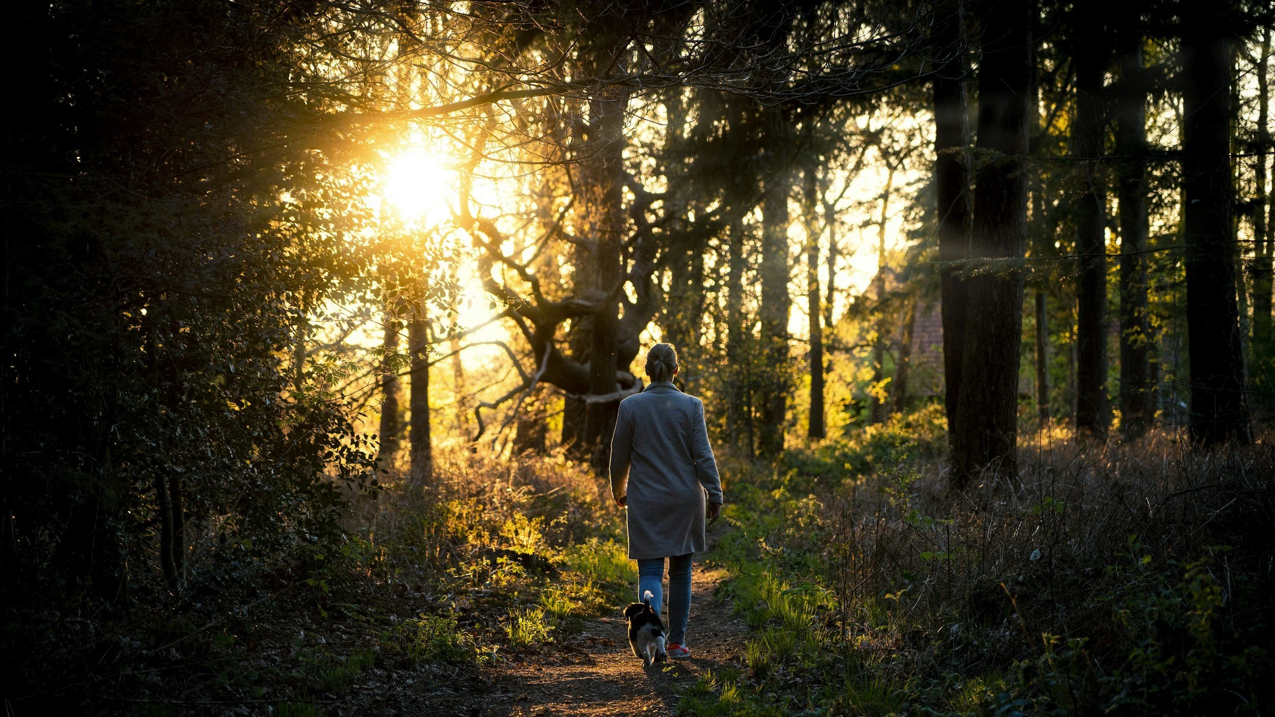 Episode 58 - You’re Not Stuck—You’re Healing: Ego, Higher Self &amp; the Hidden Progress of Spiritual Growth