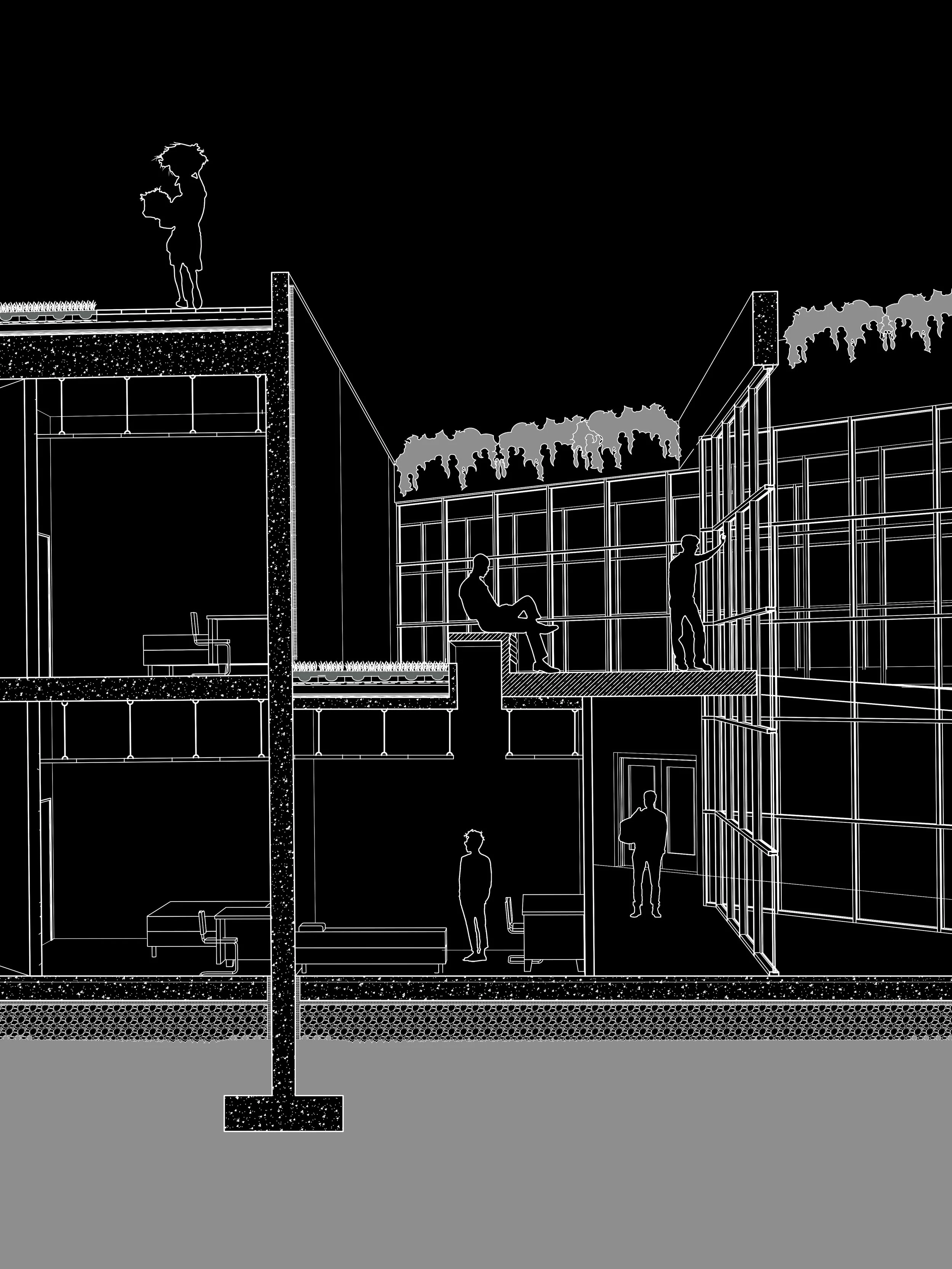 Atrium Section Perspective.jpg