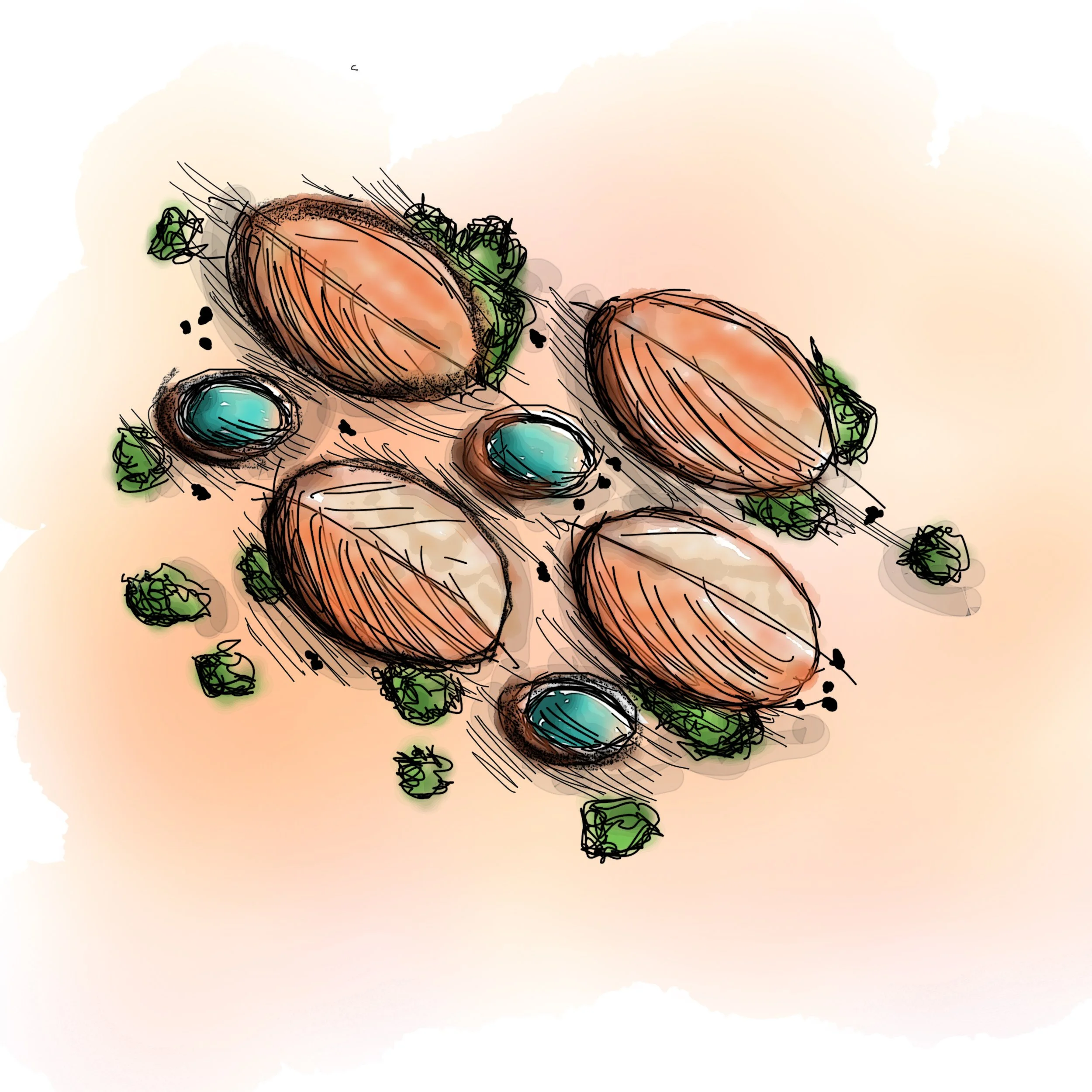 Concept Sketch.jpg