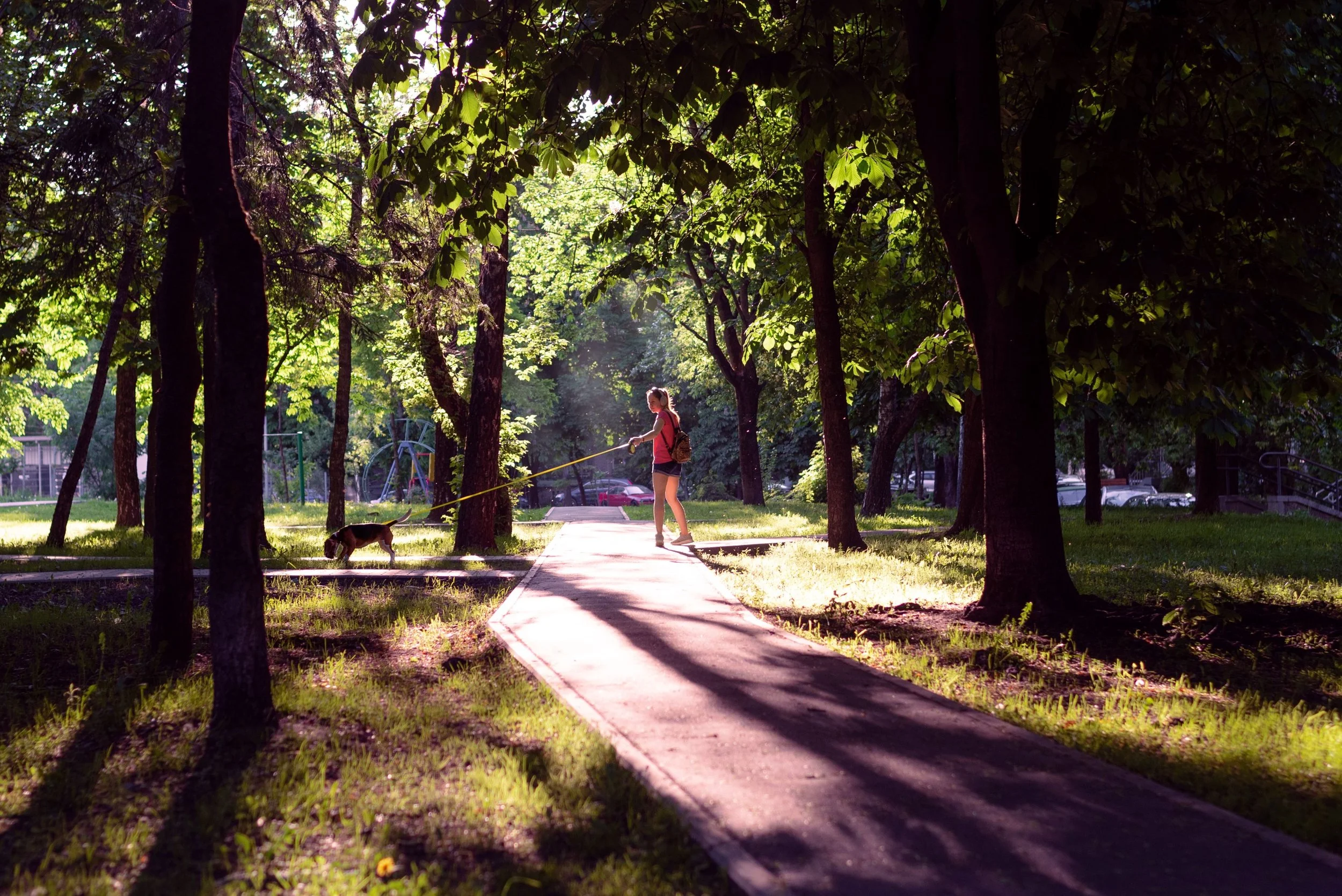 The Power of Unplugging: How Time Away Can Refresh Your Mind and Body