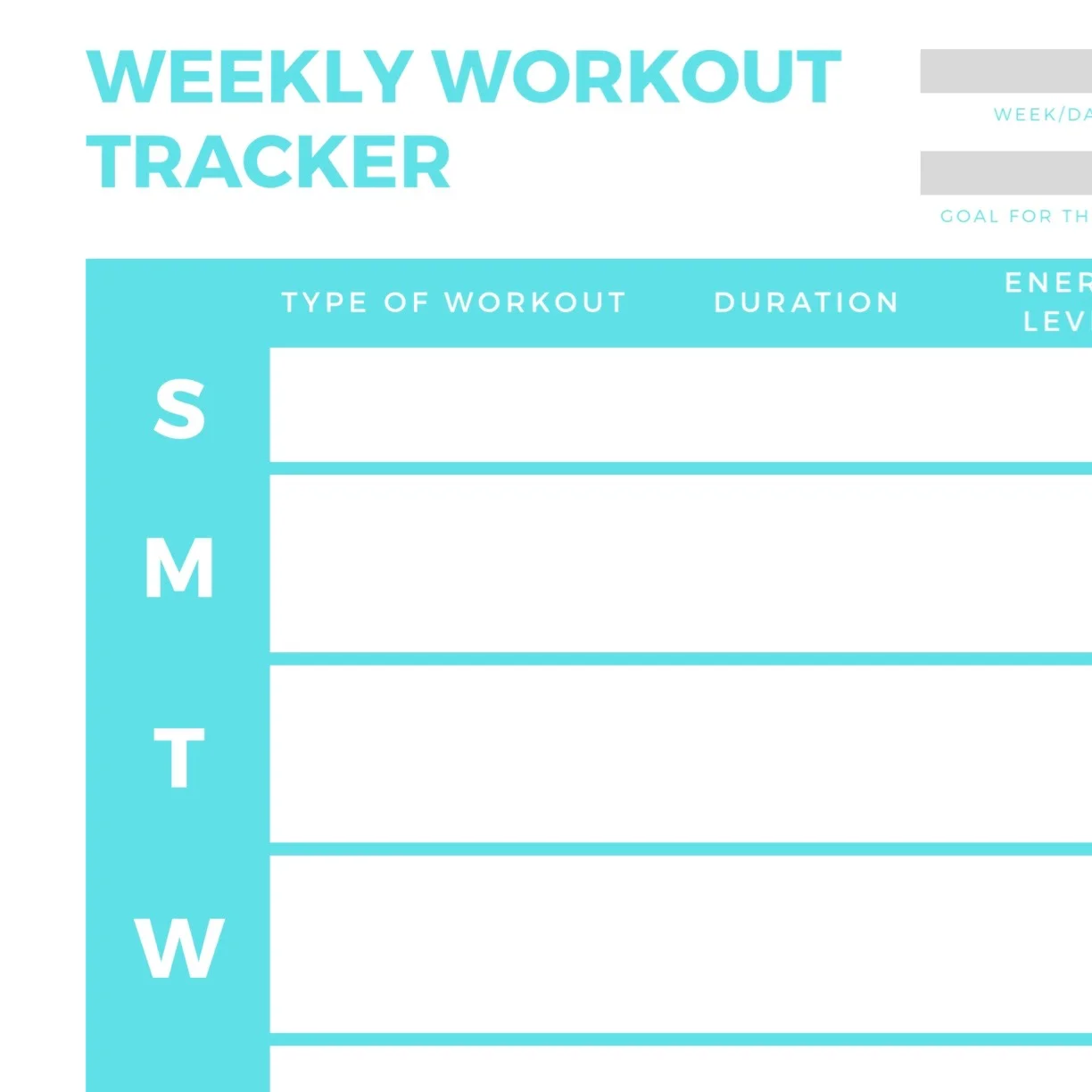 Weekly Workout Tracker — Vita Vie Retreat