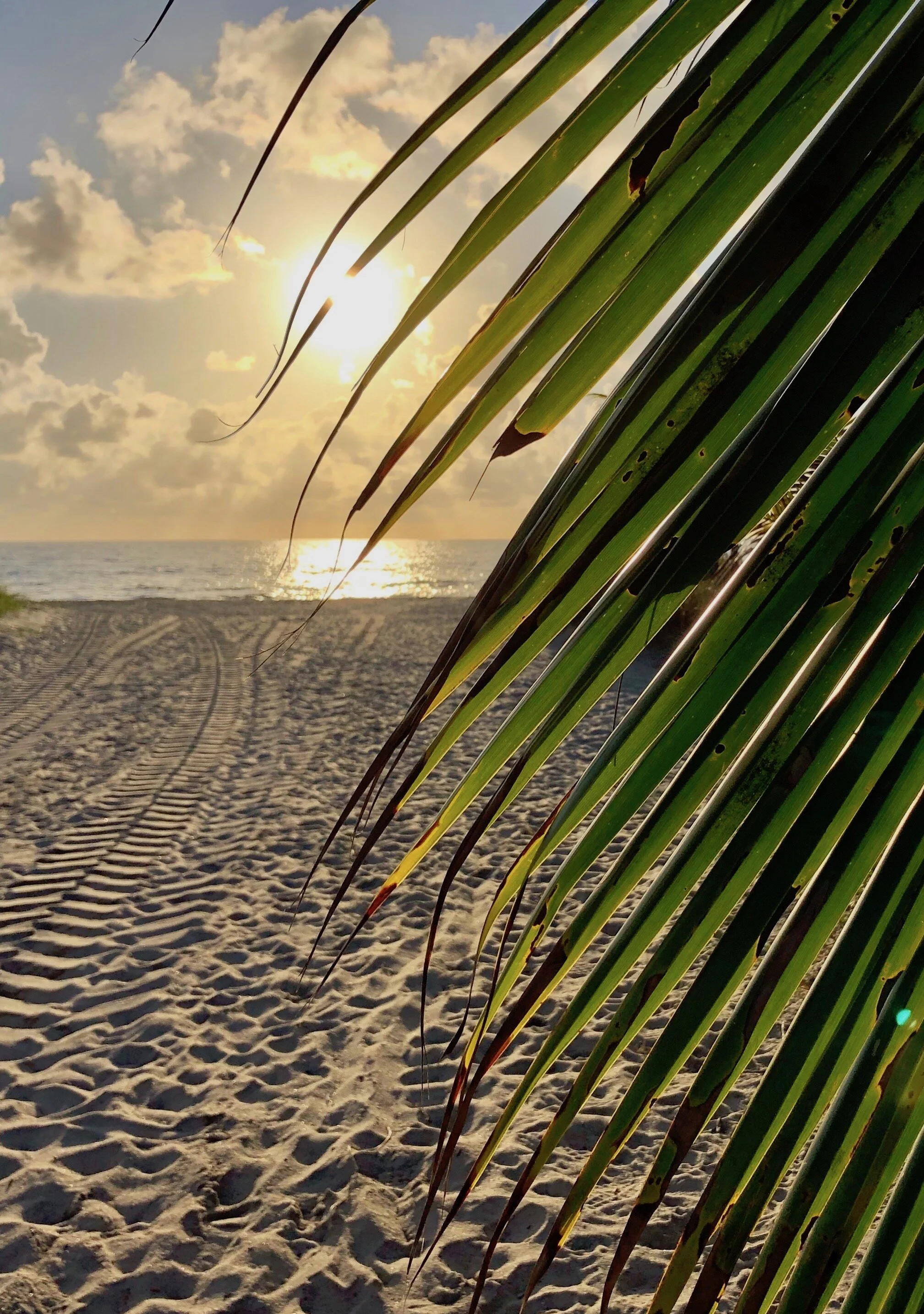 OCTOBER NEWS: COVID-19 UPDATES