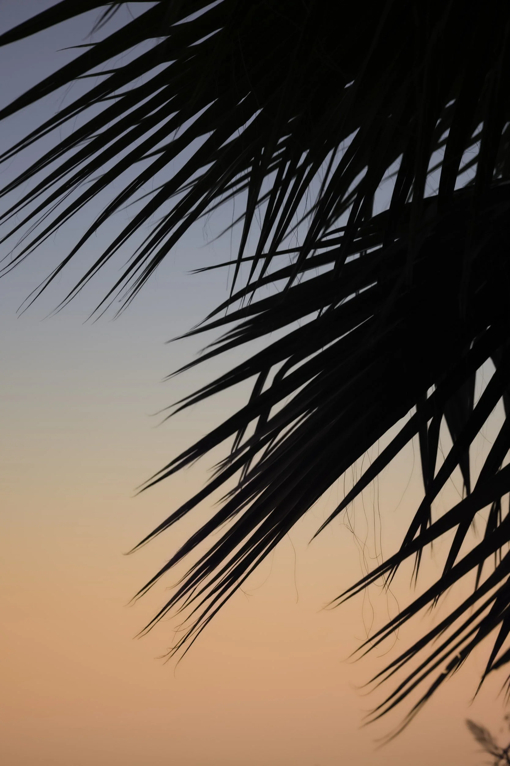 The Power Of Mindset