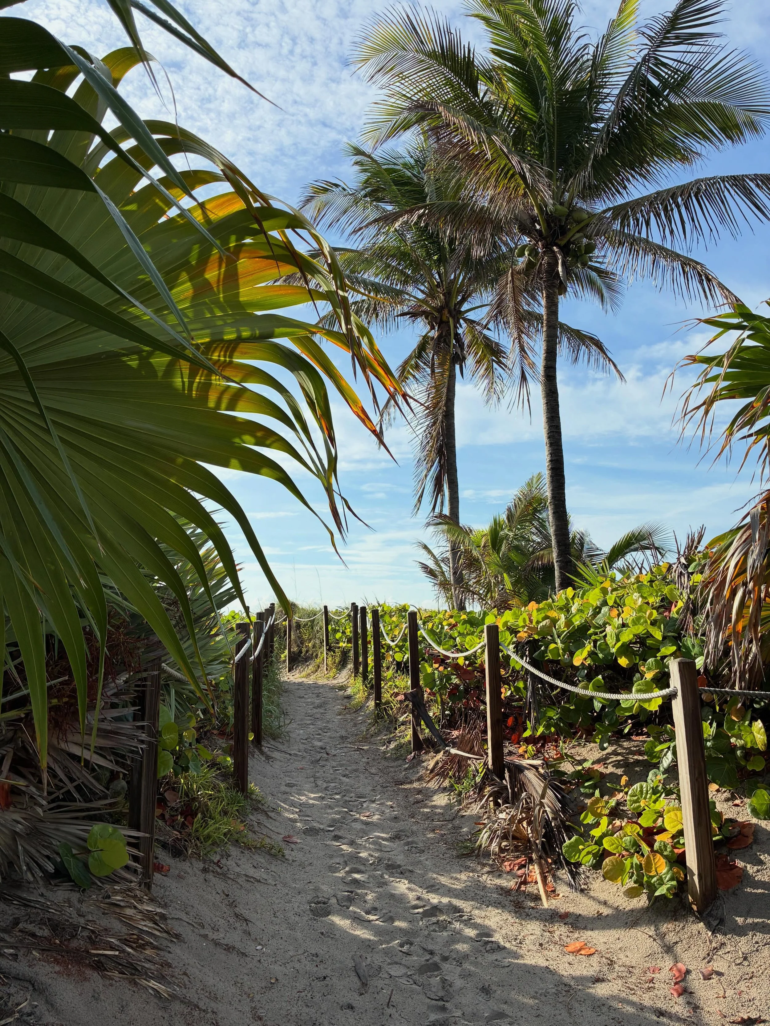 Summer vibes in #delraybeach ☀️🌴 we&rsquo;re loving the beautiful beachside mornings and ocean views for our morning #retreat classes.
