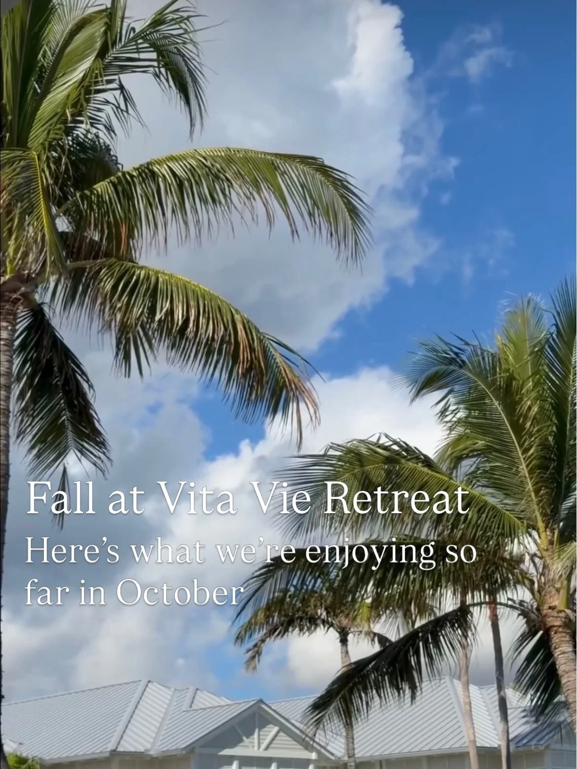 Fall at the retreat is bringing beautiful blue skies, wonderful ocean breezes, exploring our seaside town, healthy bites, functional training, and plenty of beach and pool time to decompress ✨

#retreat #wellnessretreat #travel #wellnesstravel #vitav