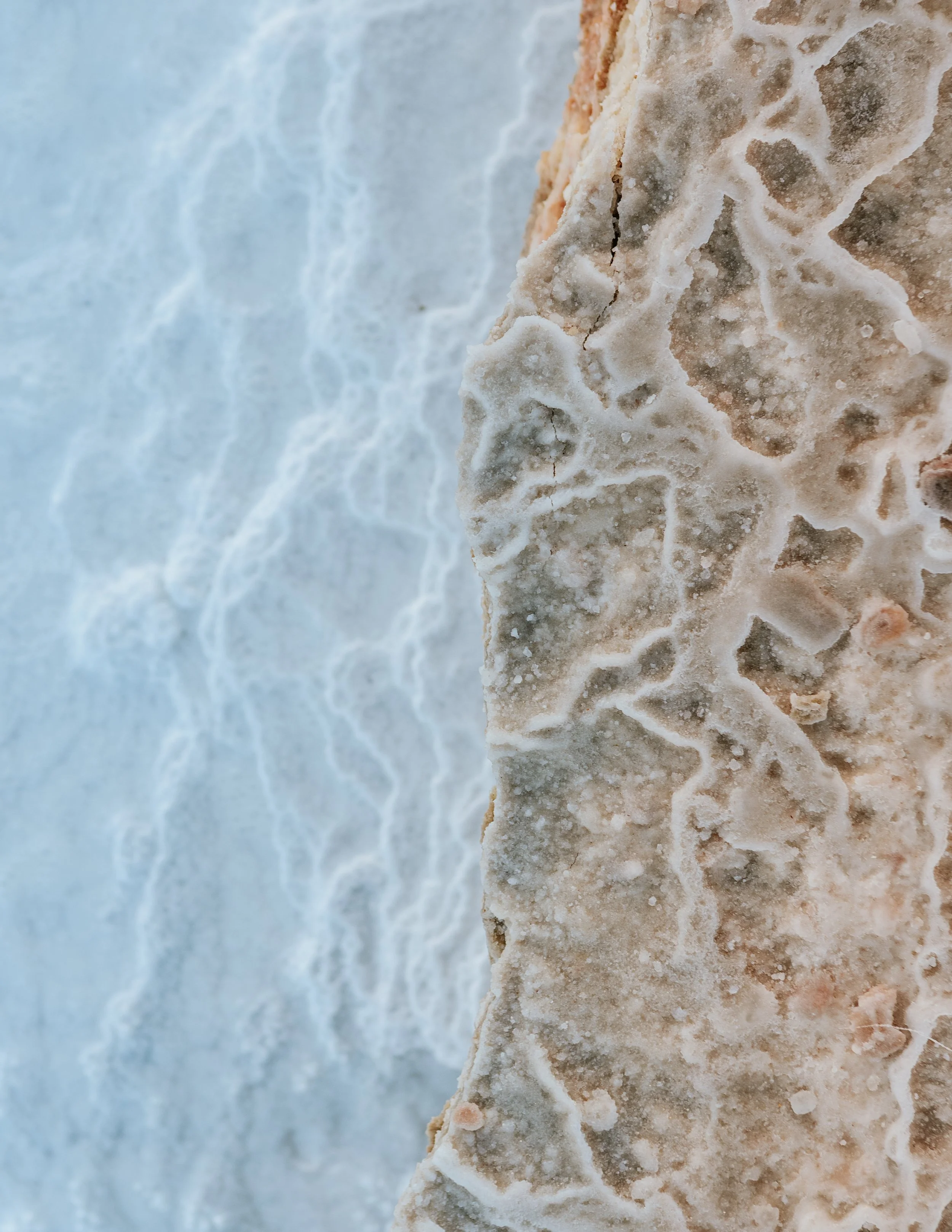 Dead Sea Salt.jpg