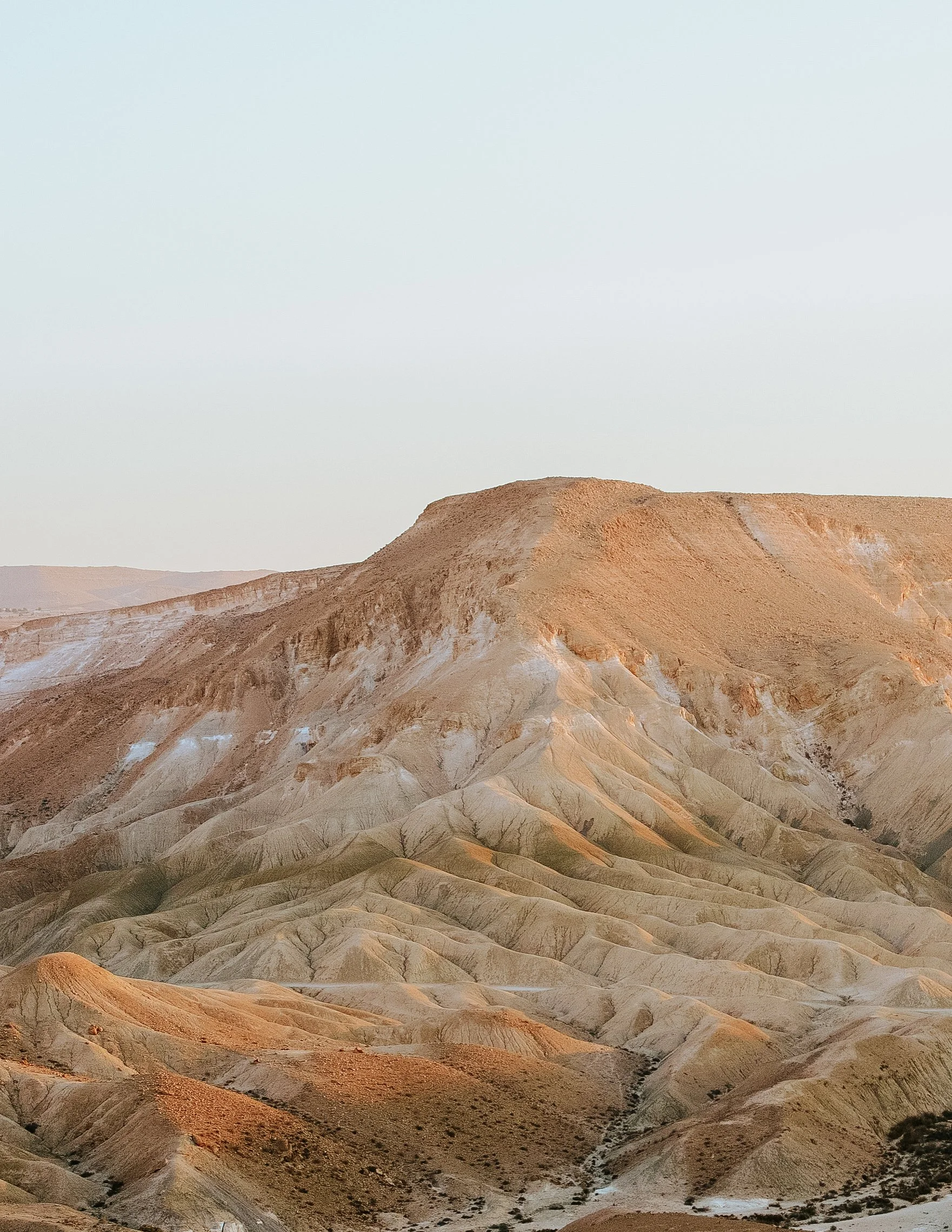 Desert.jpg