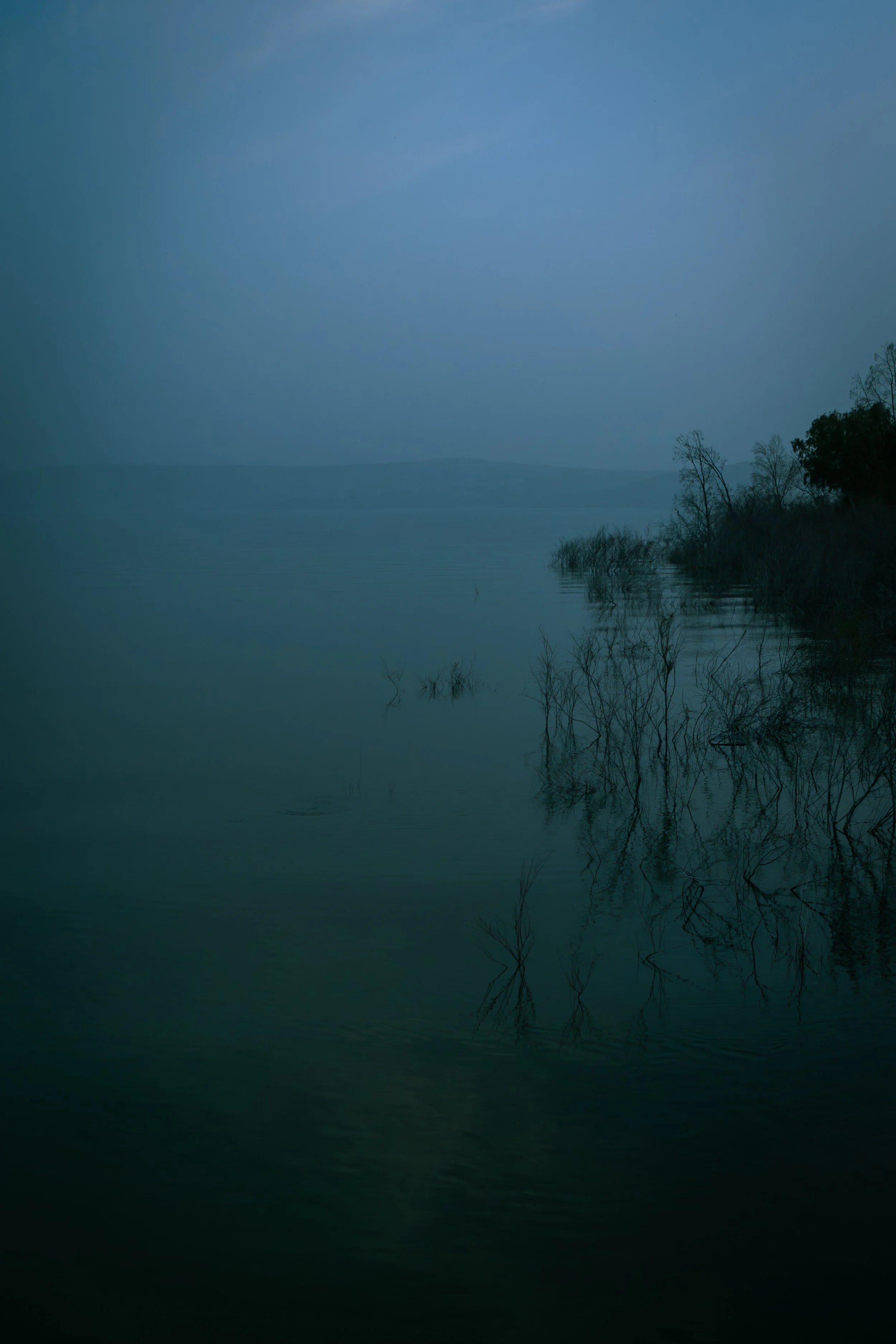 Dark Galilee.jpg